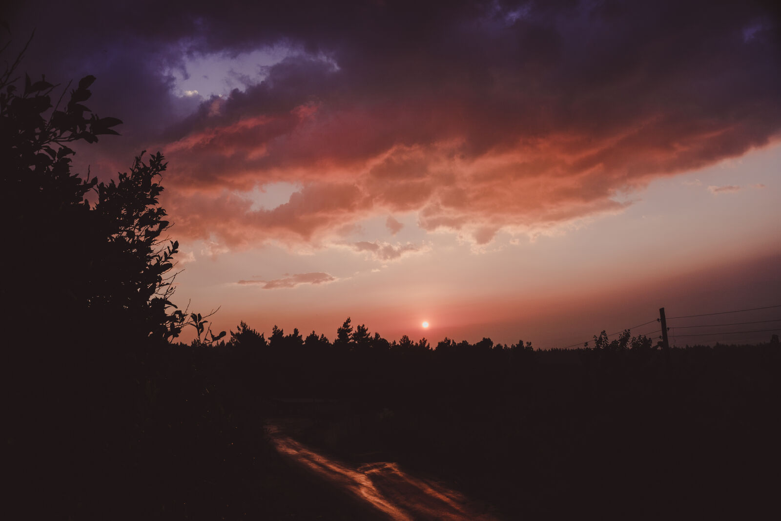 Sony a6000 sample photo. Beautiful, clouds, forest, landscape photography