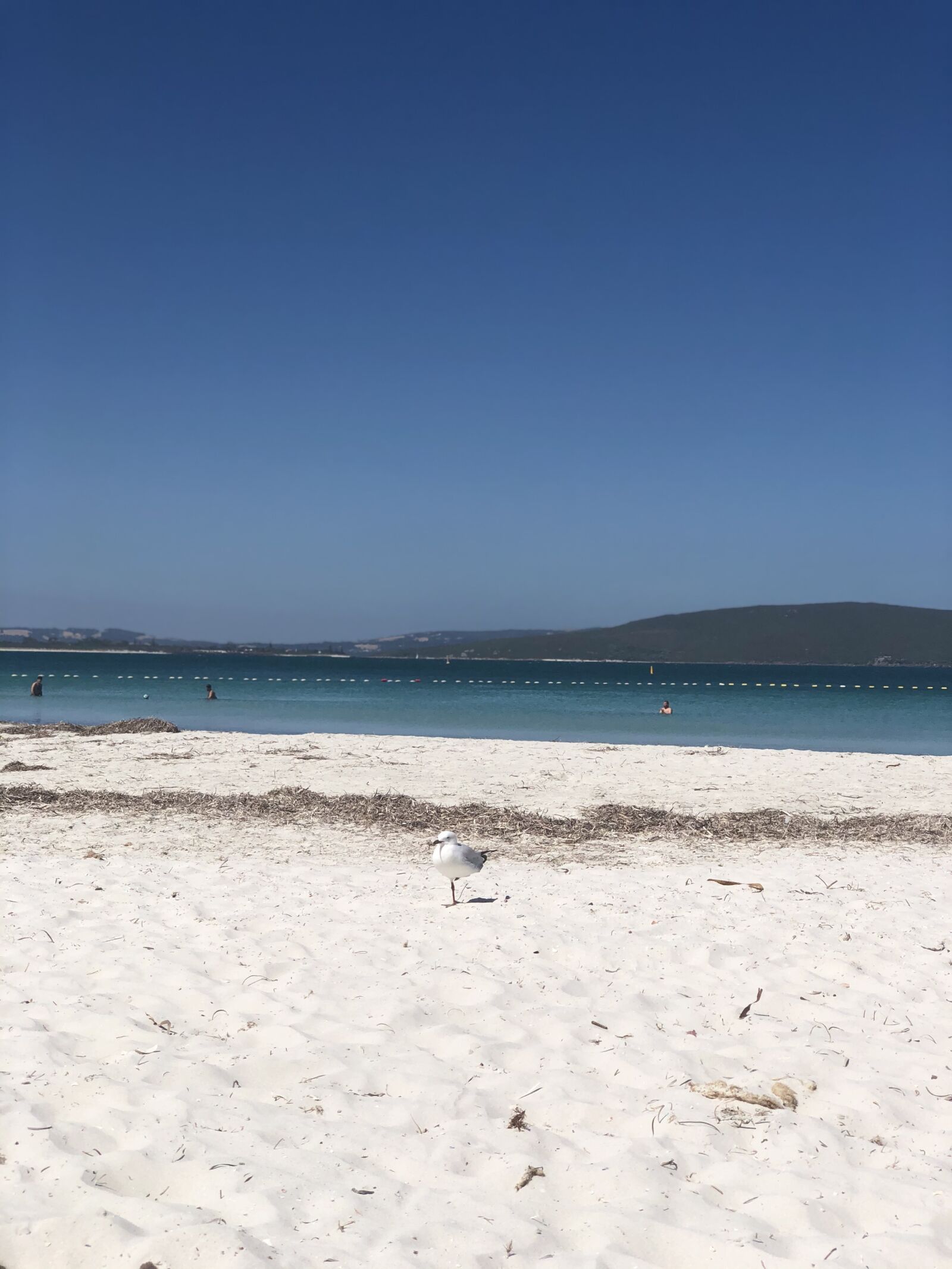 iPhone X back dual camera 6mm f/2.4 sample photo. Esperance, western australia, australian photography