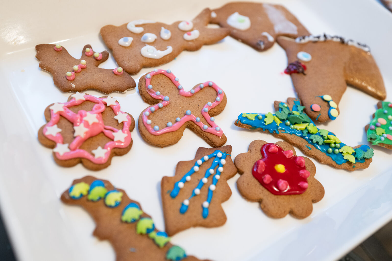 SUMMILUX 1:1.7/28 ASPH. sample photo. Decorated gingerbread photography