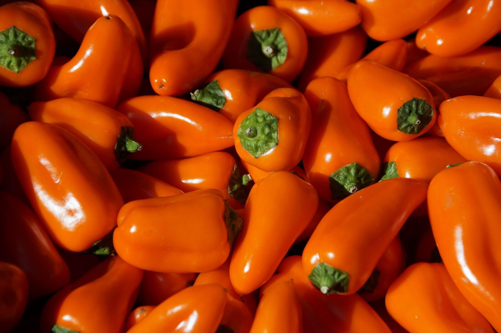 Sony SLT-A58 sample photo. Pepper, peppers, orange photography
