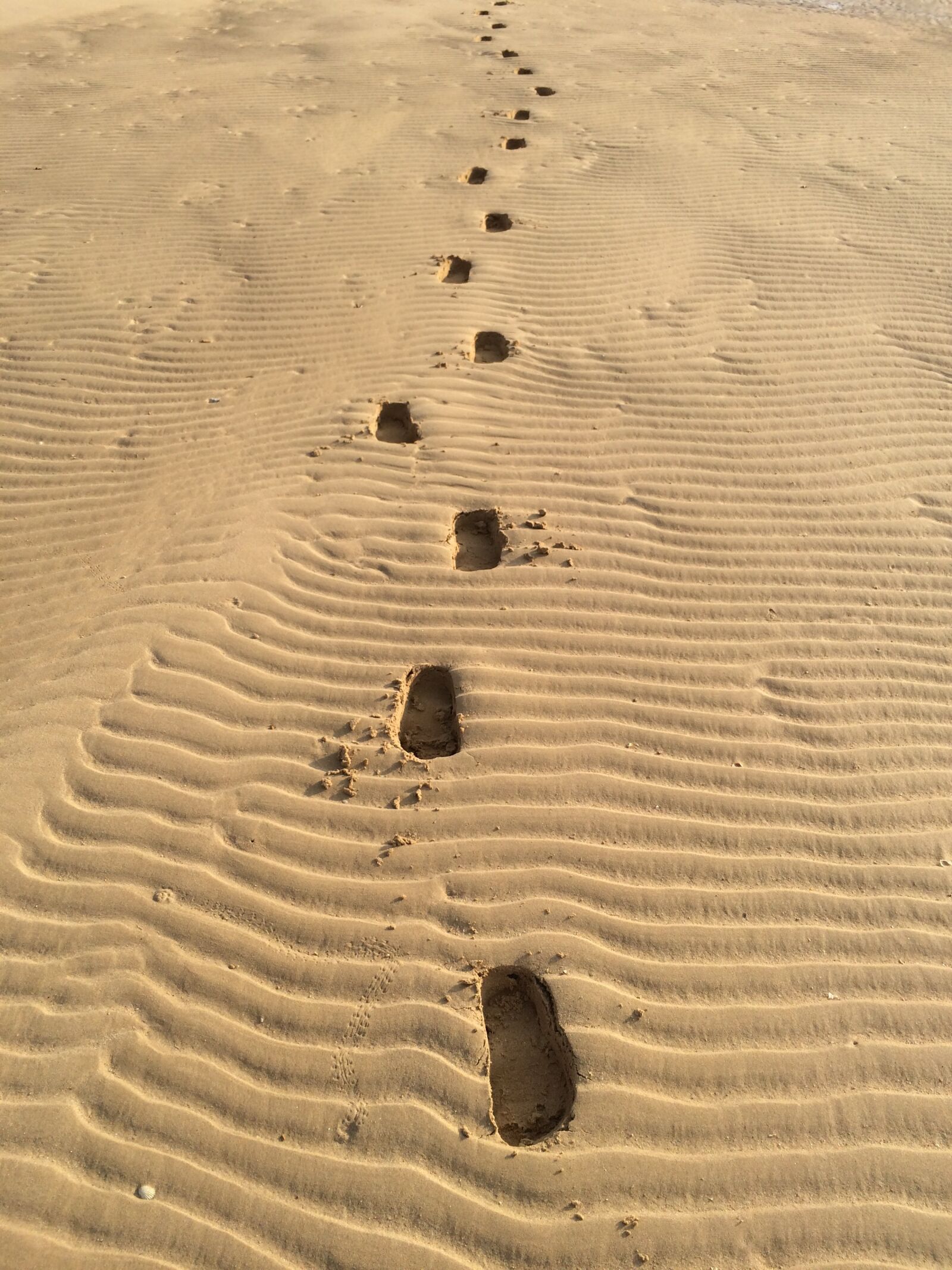 iPhone 5s back camera 4.15mm f/2.2 sample photo. Sandy, footprints, sand photography