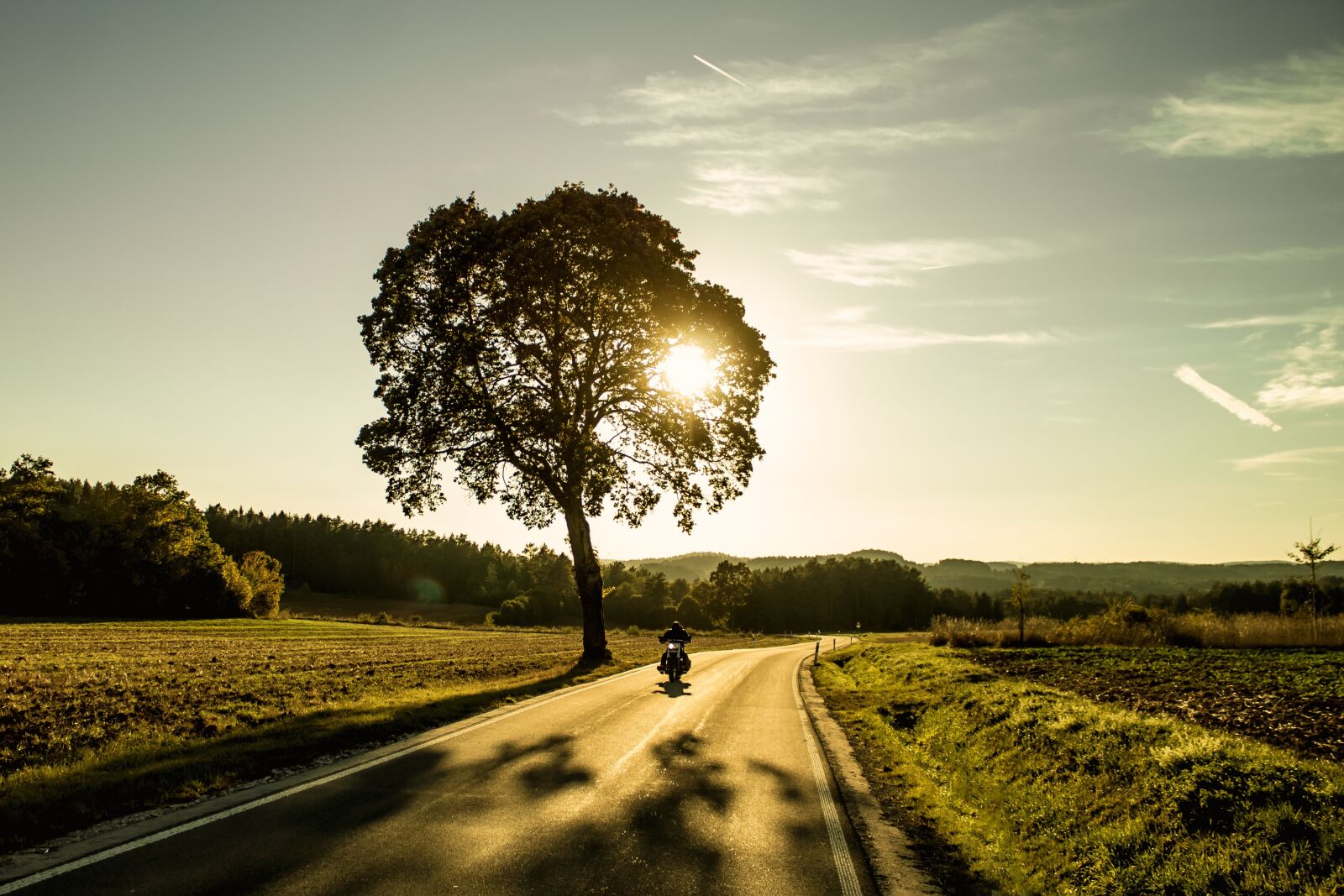 Canon EOS 1100D (EOS Rebel T3 / EOS Kiss X50) sample photo. Motorcycle, tree, sunset photography