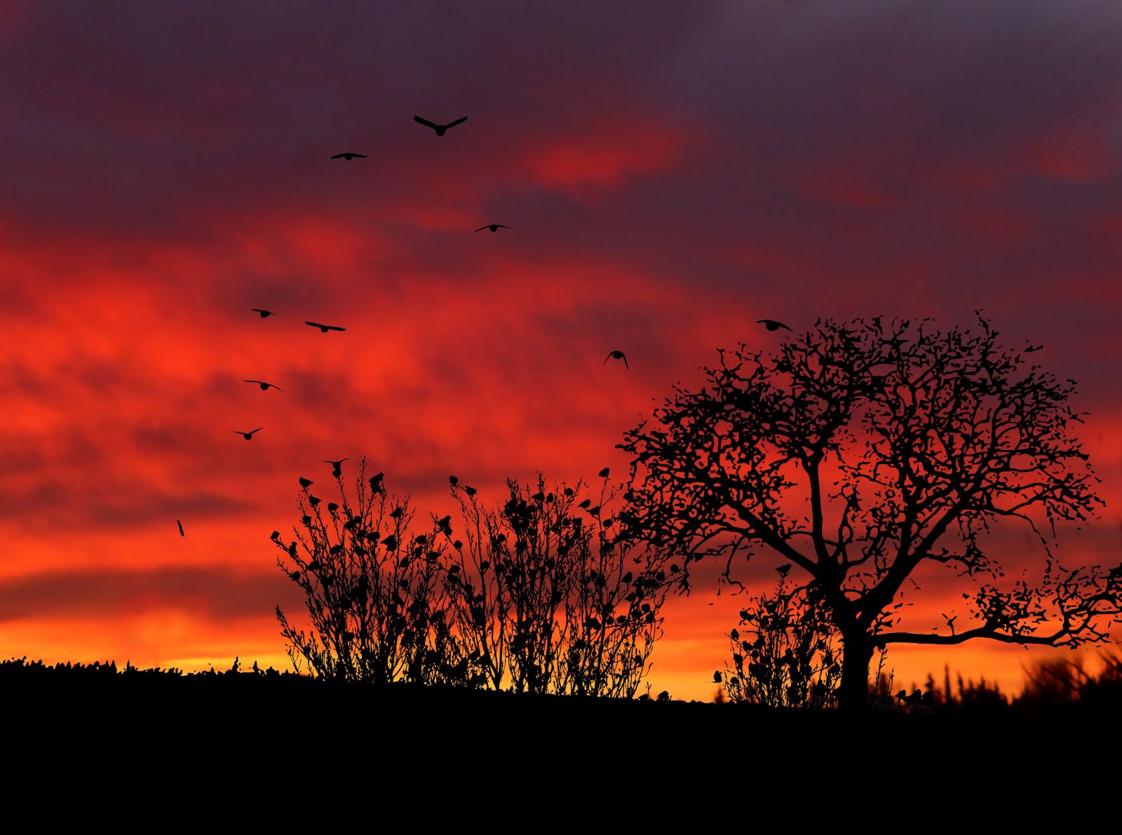 Panasonic Lumix DMC-ZS25 (Lumix DMC-TZ35) sample photo. Sunset, nature, sky photography