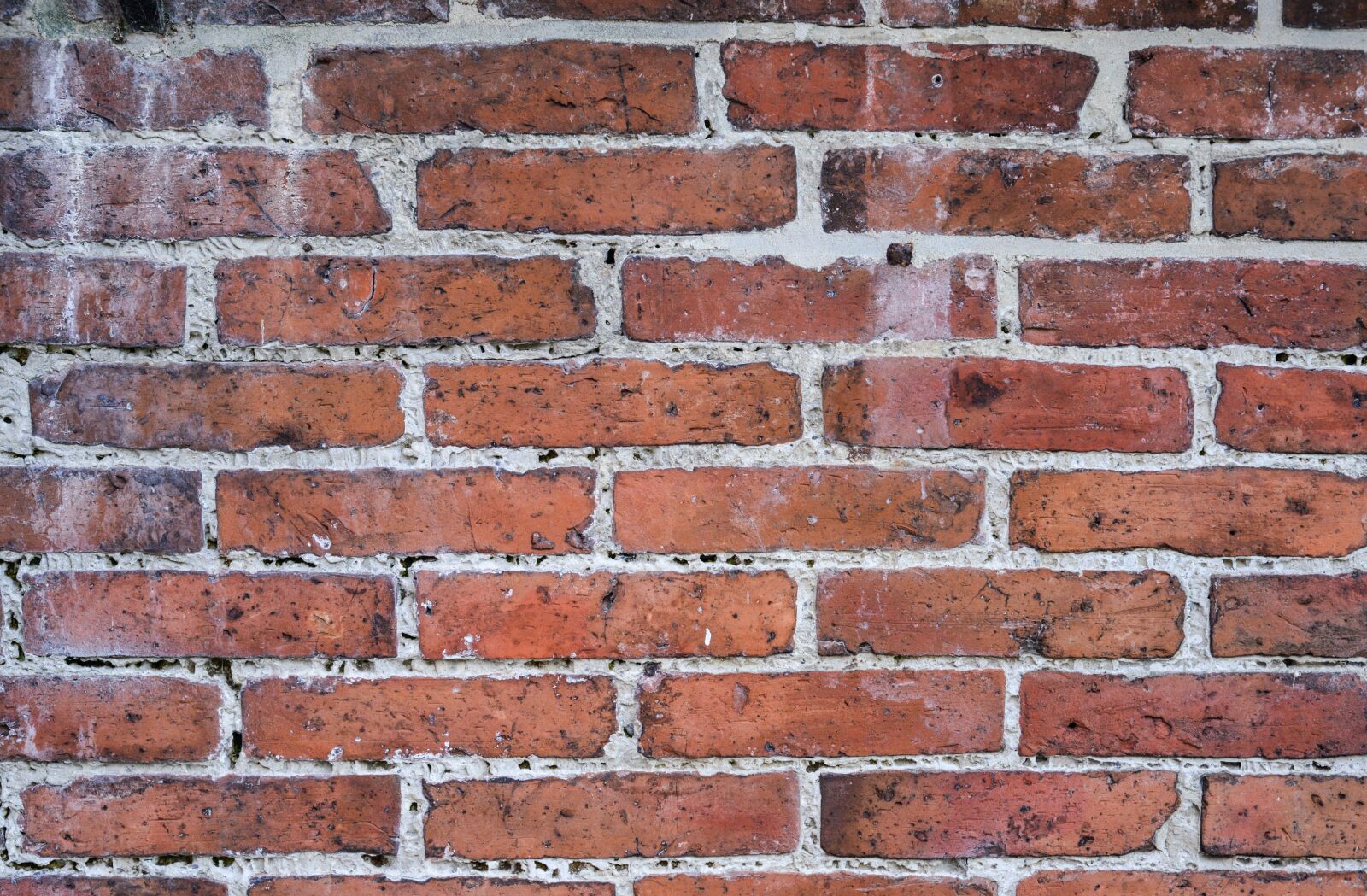 Nikon D610 sample photo. Brick, wall, texture photography