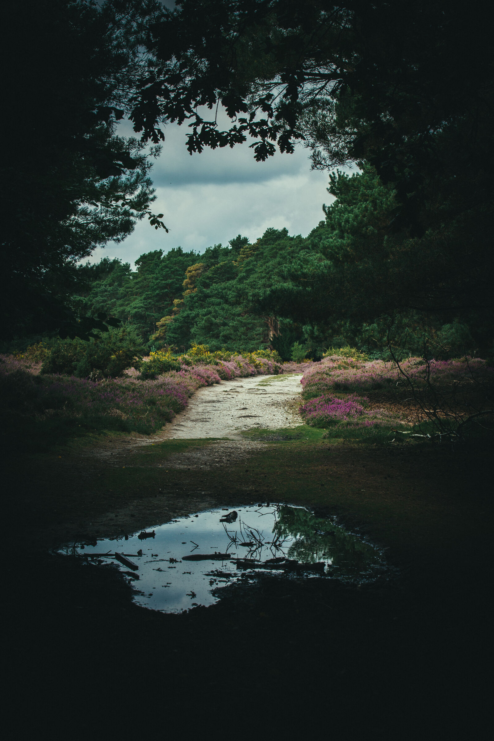 Canon EF 70-200mm F2.8L IS II USM sample photo. Abandoned, beautiful, brownsea, island photography