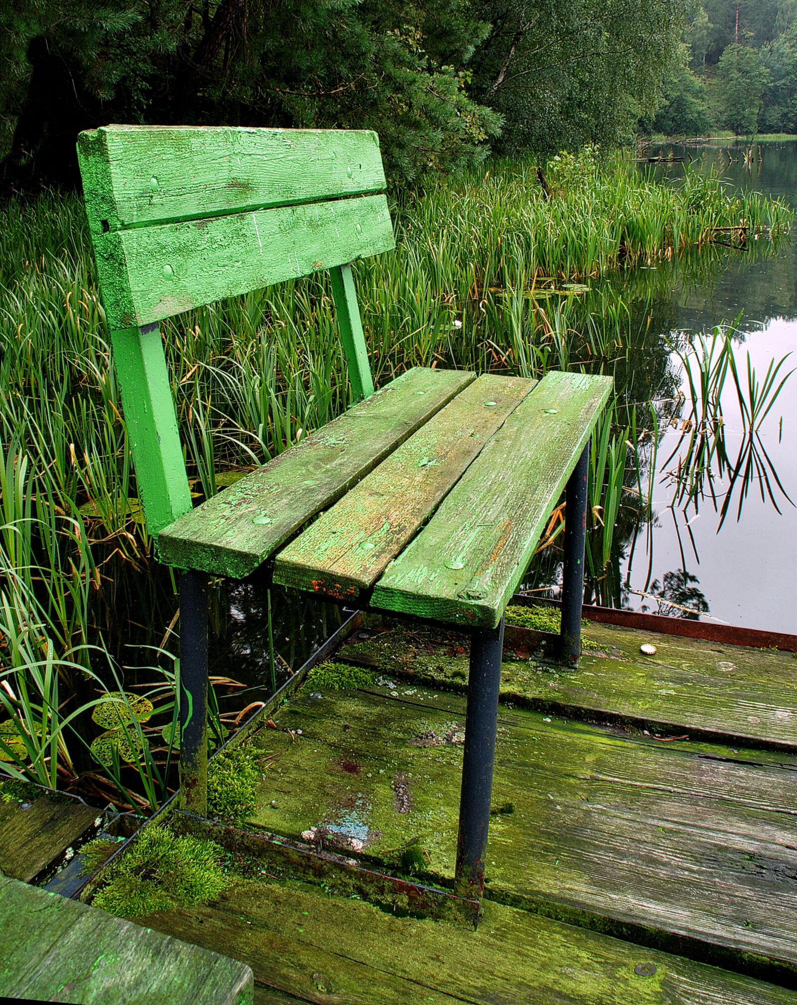 Nikon D80 sample photo. Bench, lake, fishing photography