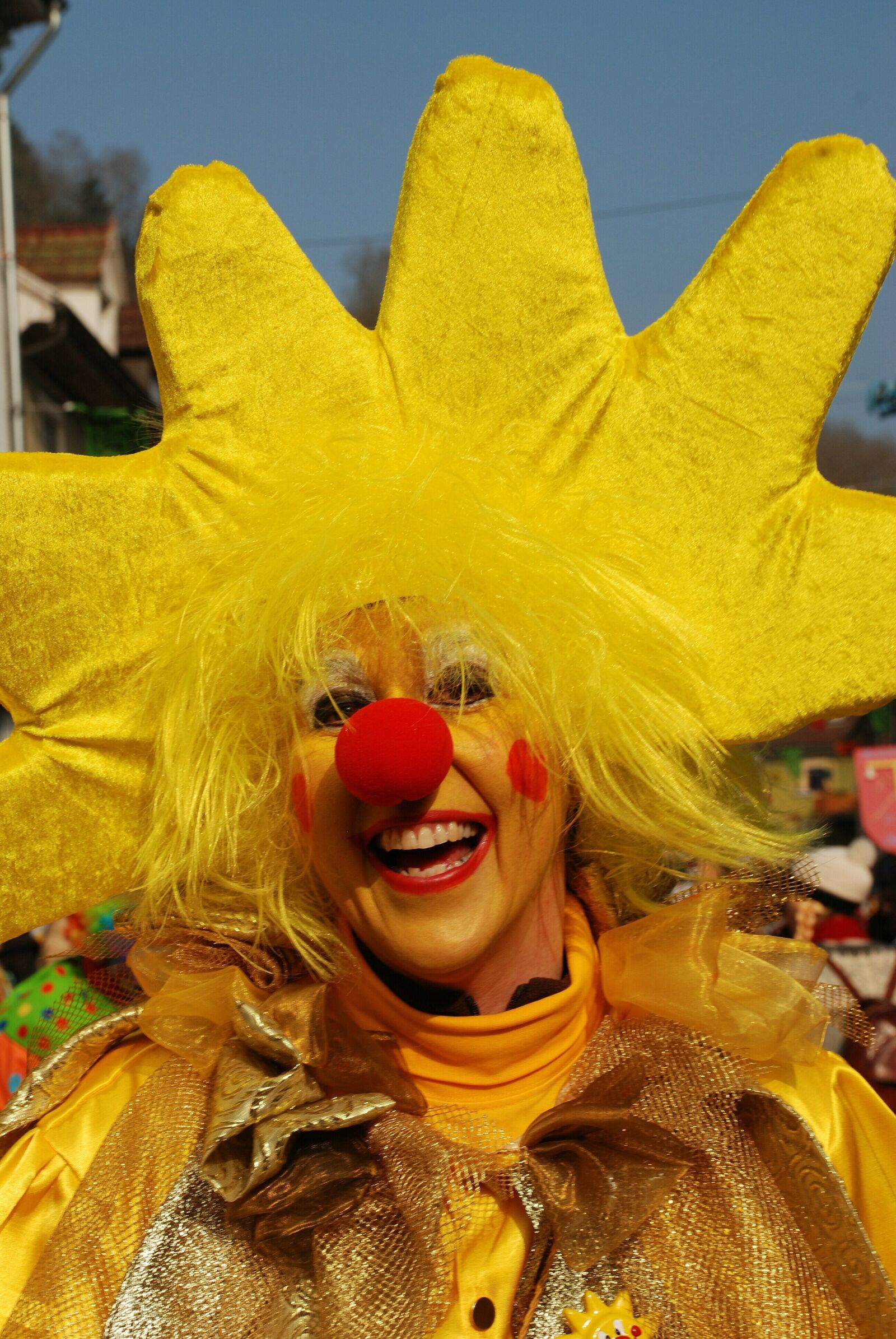 Nikon D80 sample photo. Carnival, costume, sunflower photography