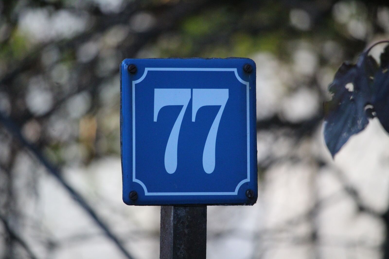 Canon EF-S 55-250mm F4-5.6 IS STM sample photo. Number, house number, shield photography