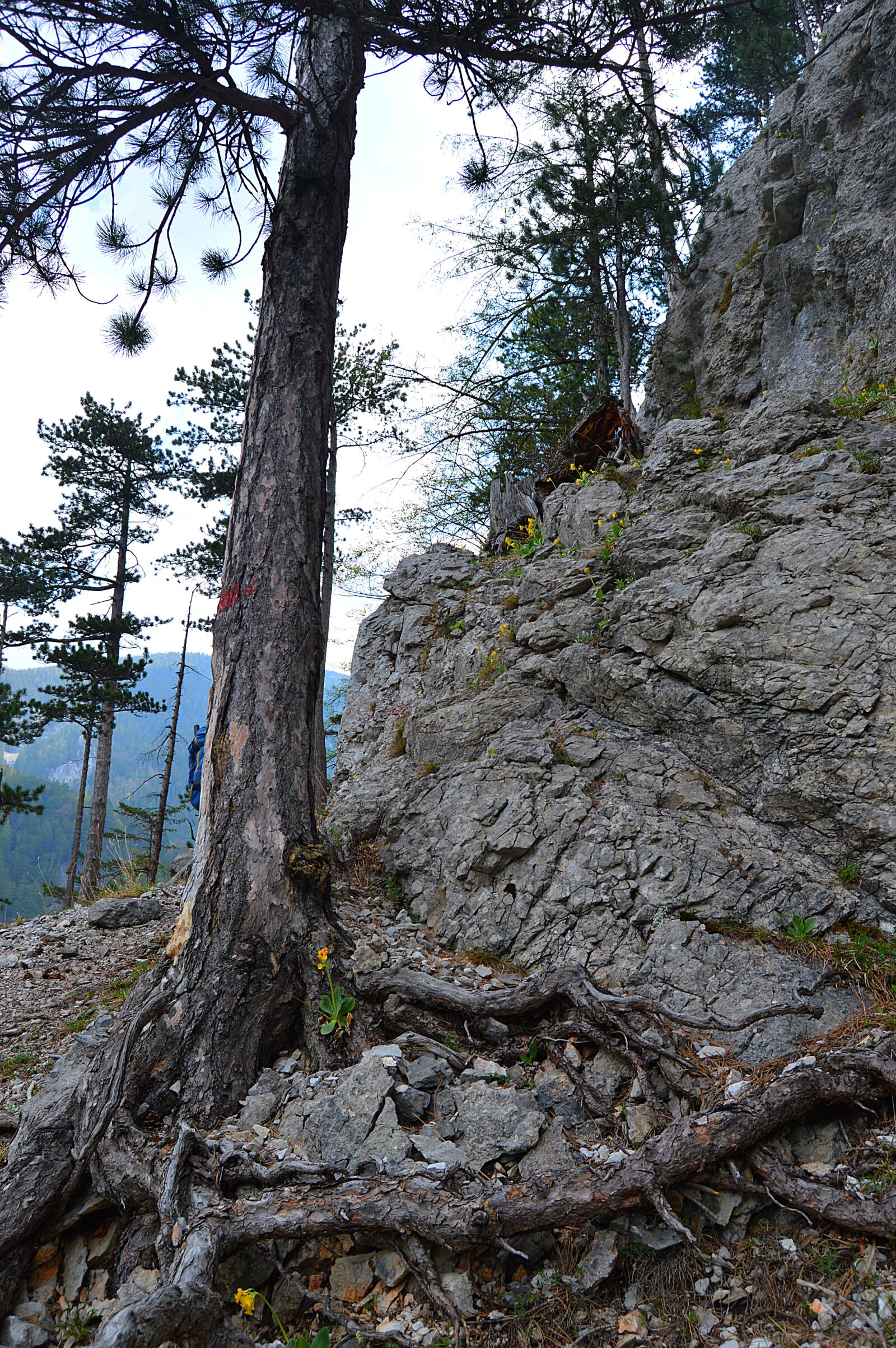 Nikon D3200 sample photo. Snow mountain, rax, lower photography