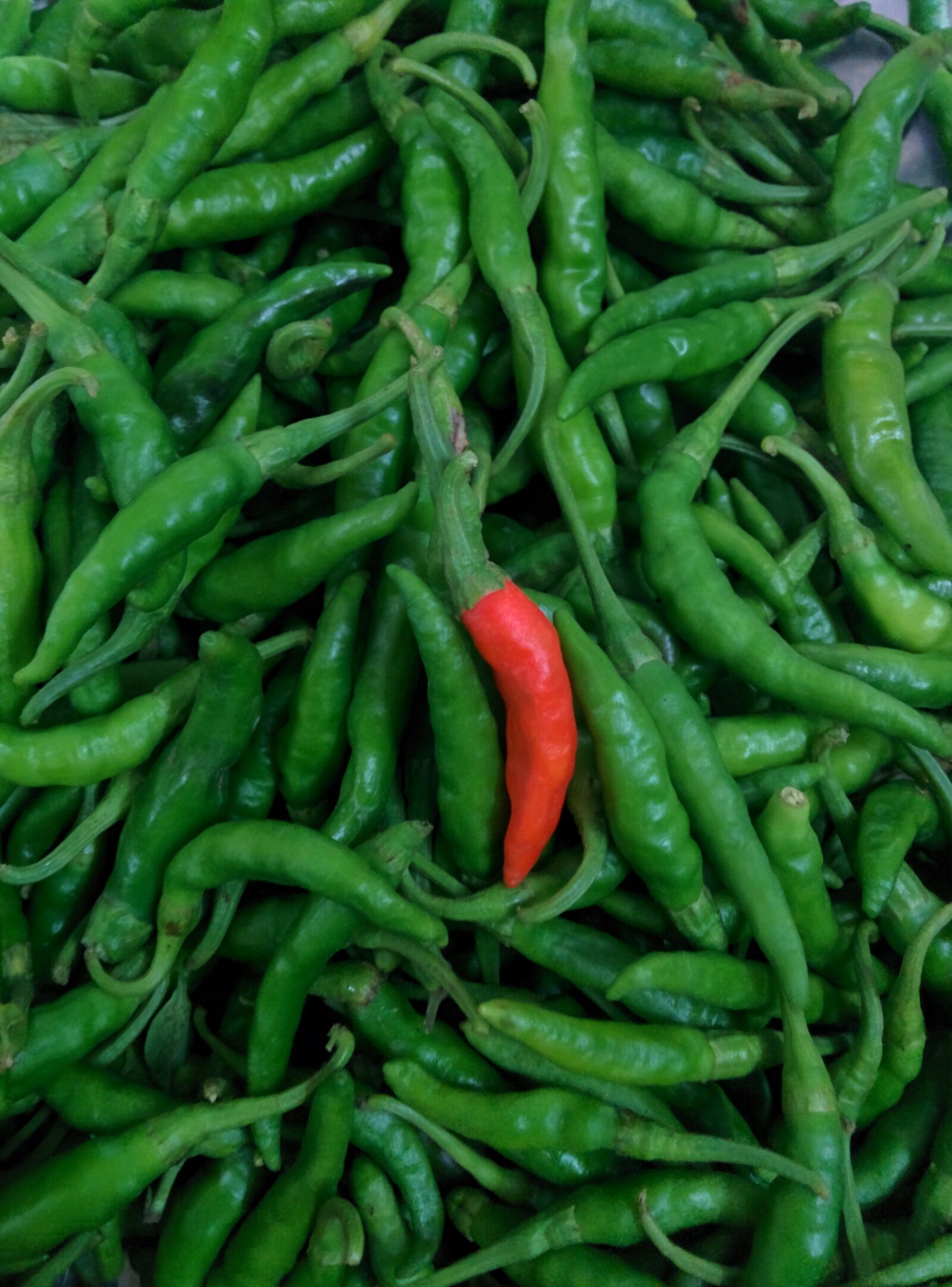 LG Nexus 5 sample photo. Chilies, green, red photography