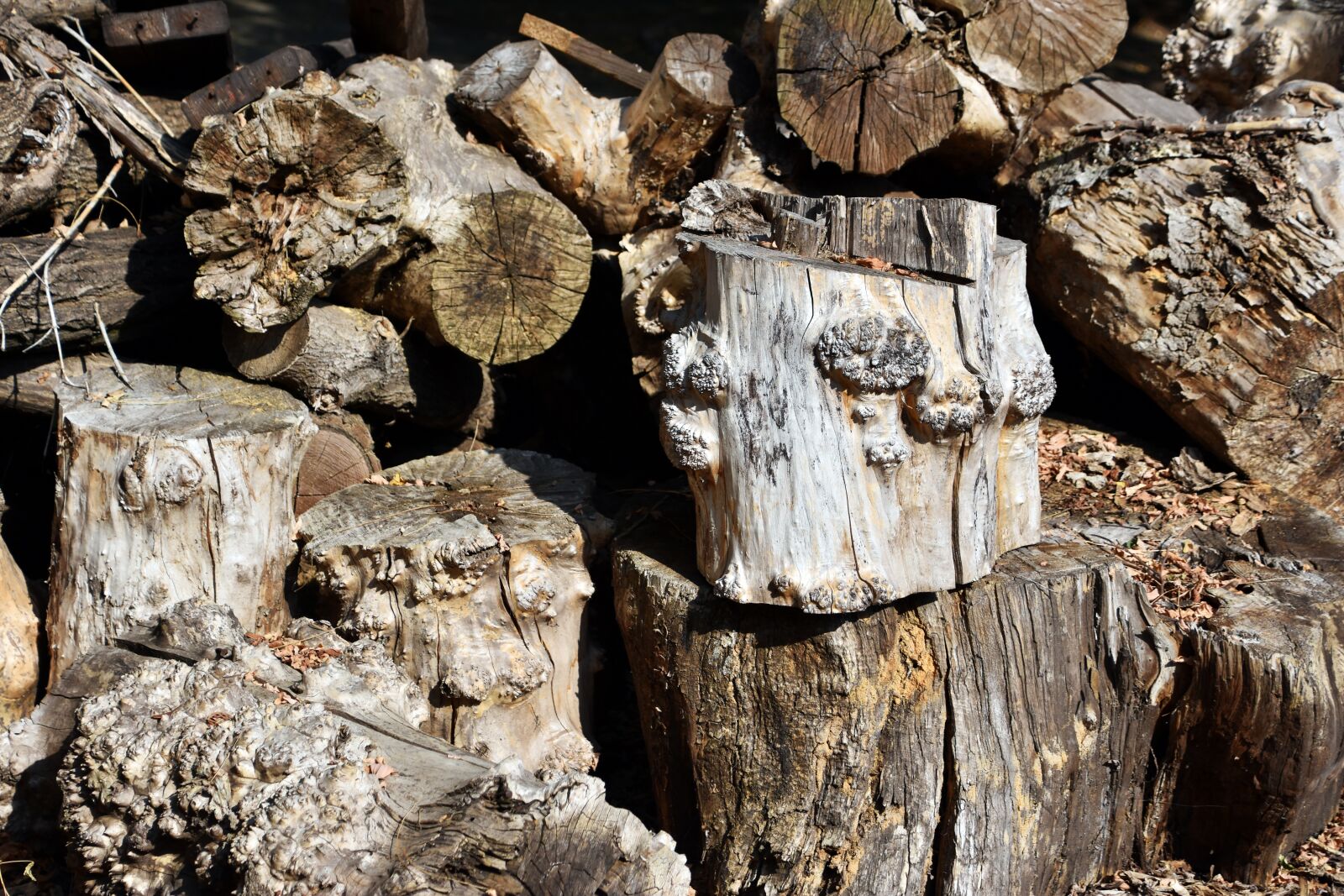Nikon D3400 sample photo. Lumber, logs, wood photography