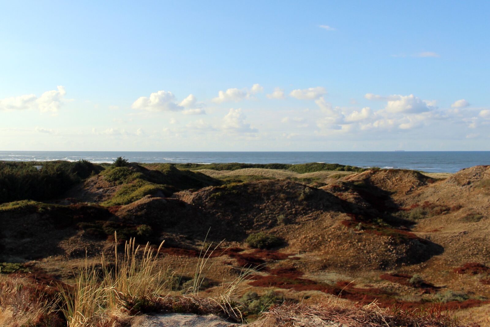 Canon EOS 700D (EOS Rebel T5i / EOS Kiss X7i) sample photo. Langeoog, coast, north sea photography
