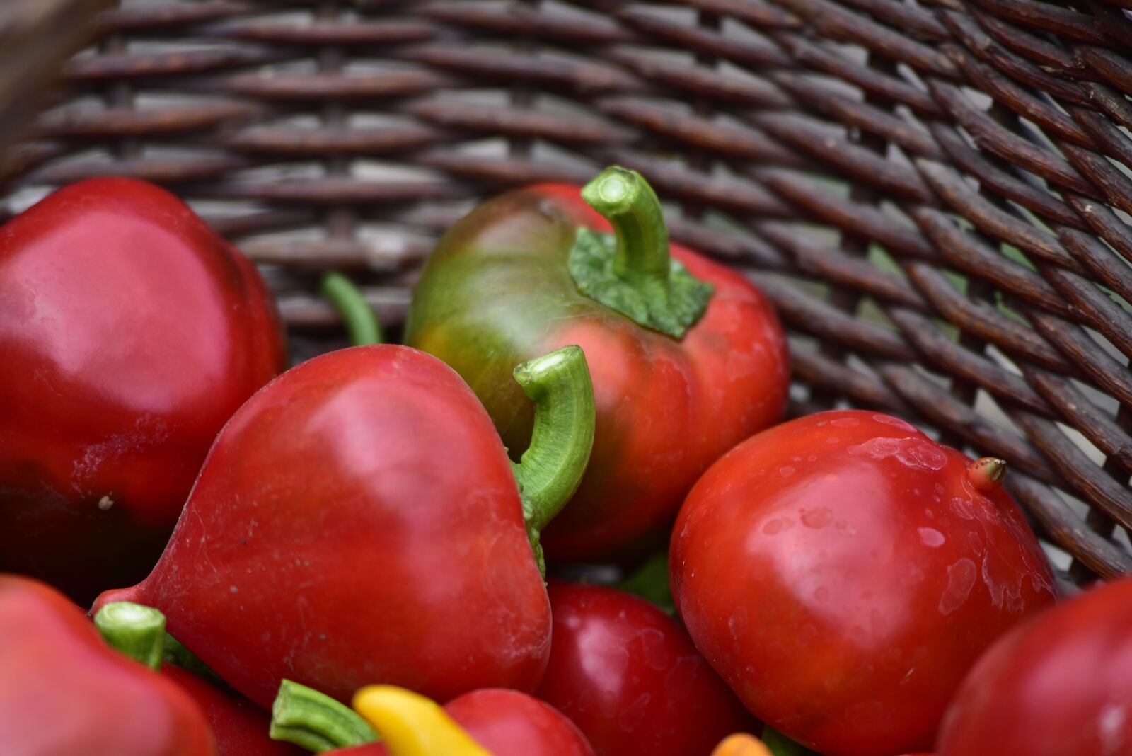 Nikon D750 sample photo. Paprika, shopping cart, kitchen photography