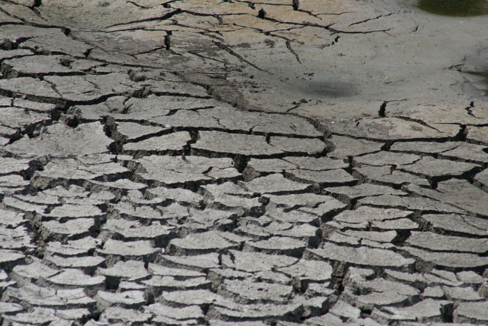 Canon EOS 400D (EOS Digital Rebel XTi / EOS Kiss Digital X) sample photo. Mud, cracks, drought photography