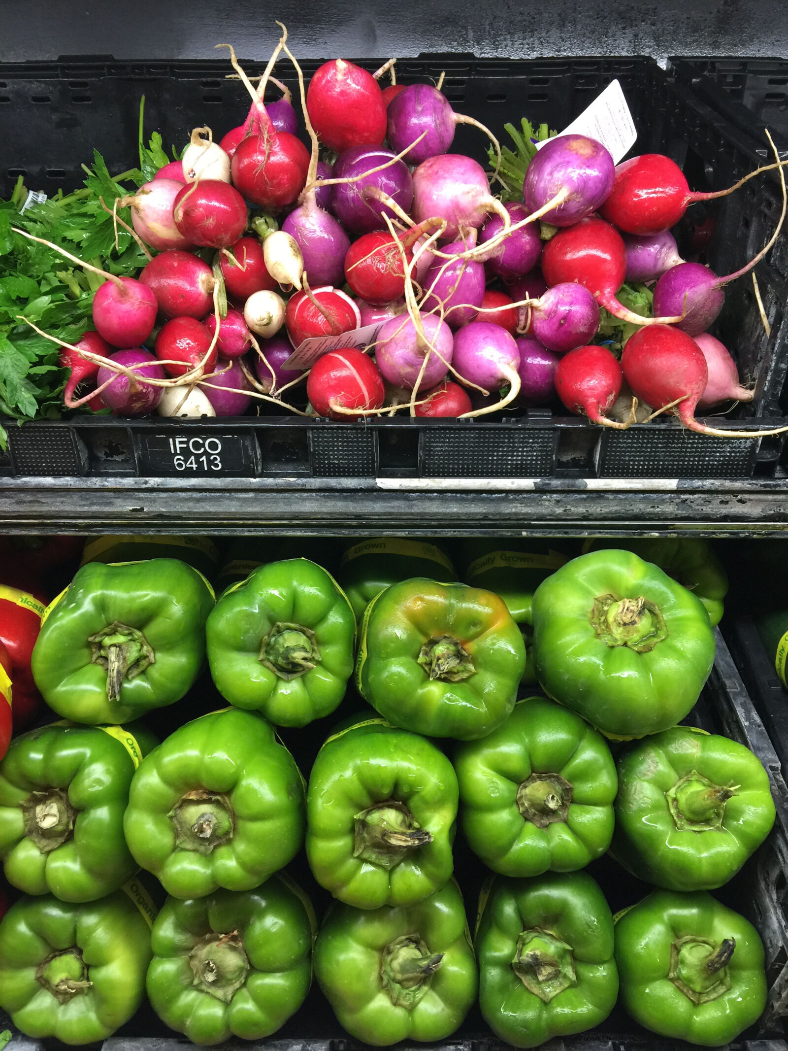 iPhone 6 Plus back camera 4.15mm f/2.2 sample photo. Farm, produce, fresh, vegetables photography