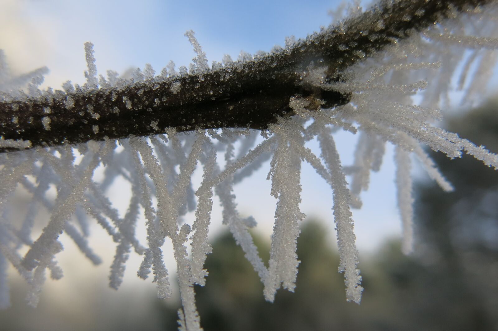 Canon PowerShot G15 sample photo. Nature, icing, winter photography