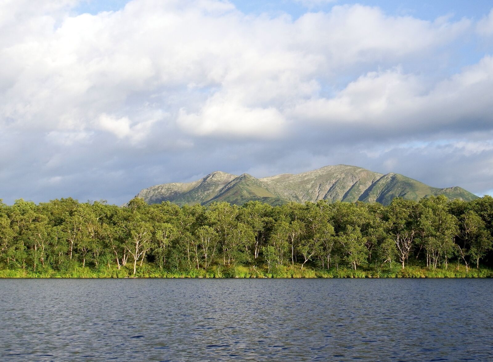 Fujifilm FinePix S1 sample photo. Lake, mountains, forest photography