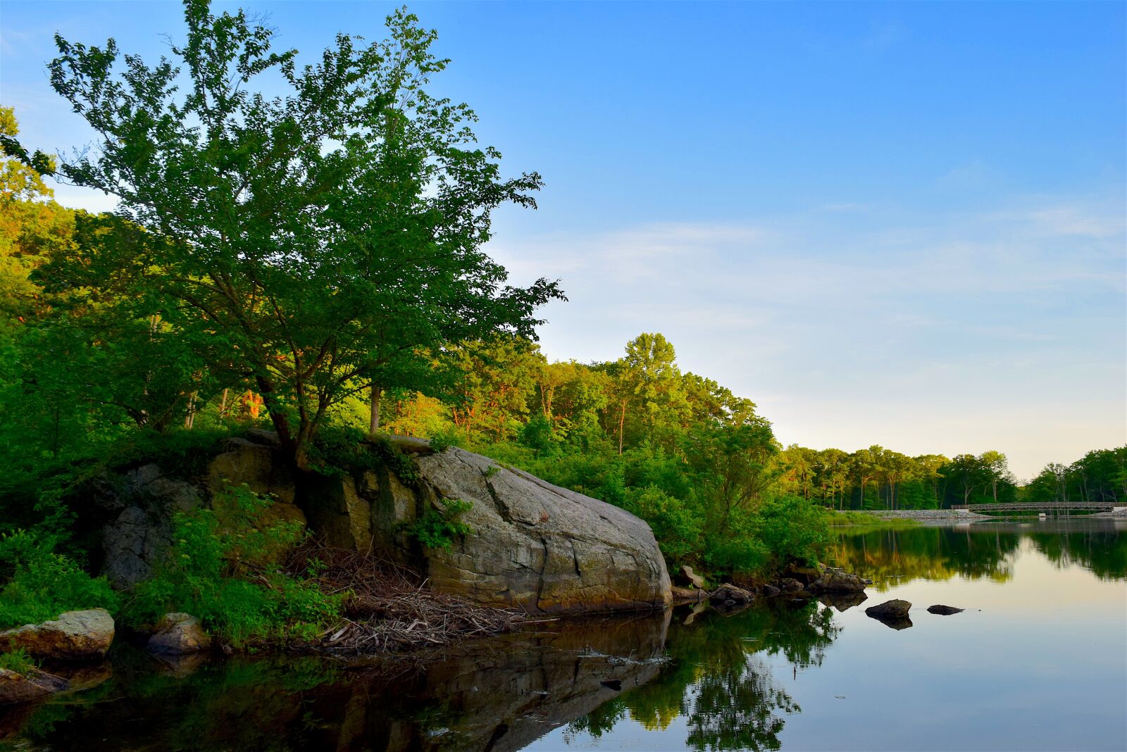 Nikon D3300 sample photo. Lake, water, tree photography