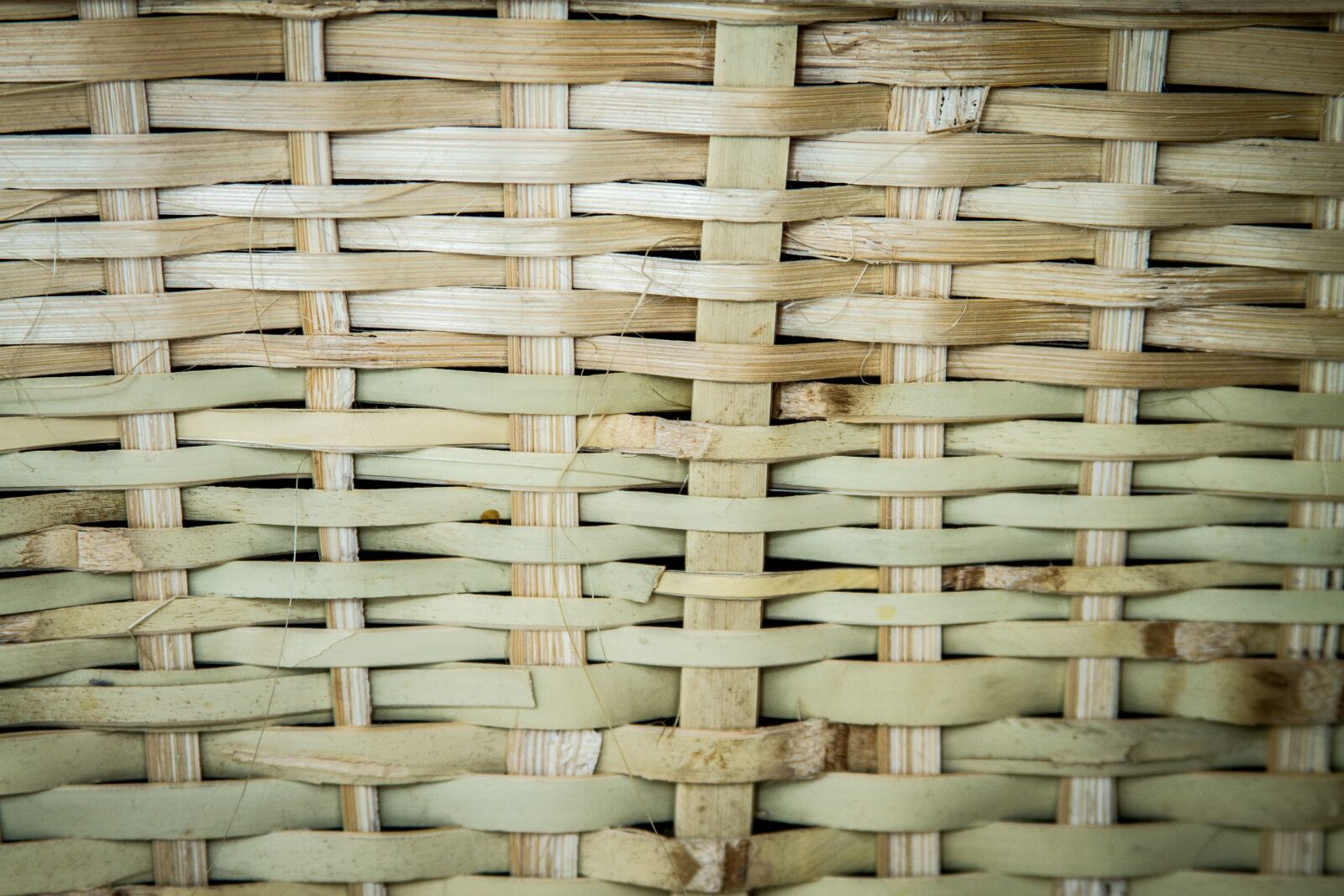 Canon EF 28-135mm F3.5-5.6 IS USM sample photo. Crafts, fique, tissue photography