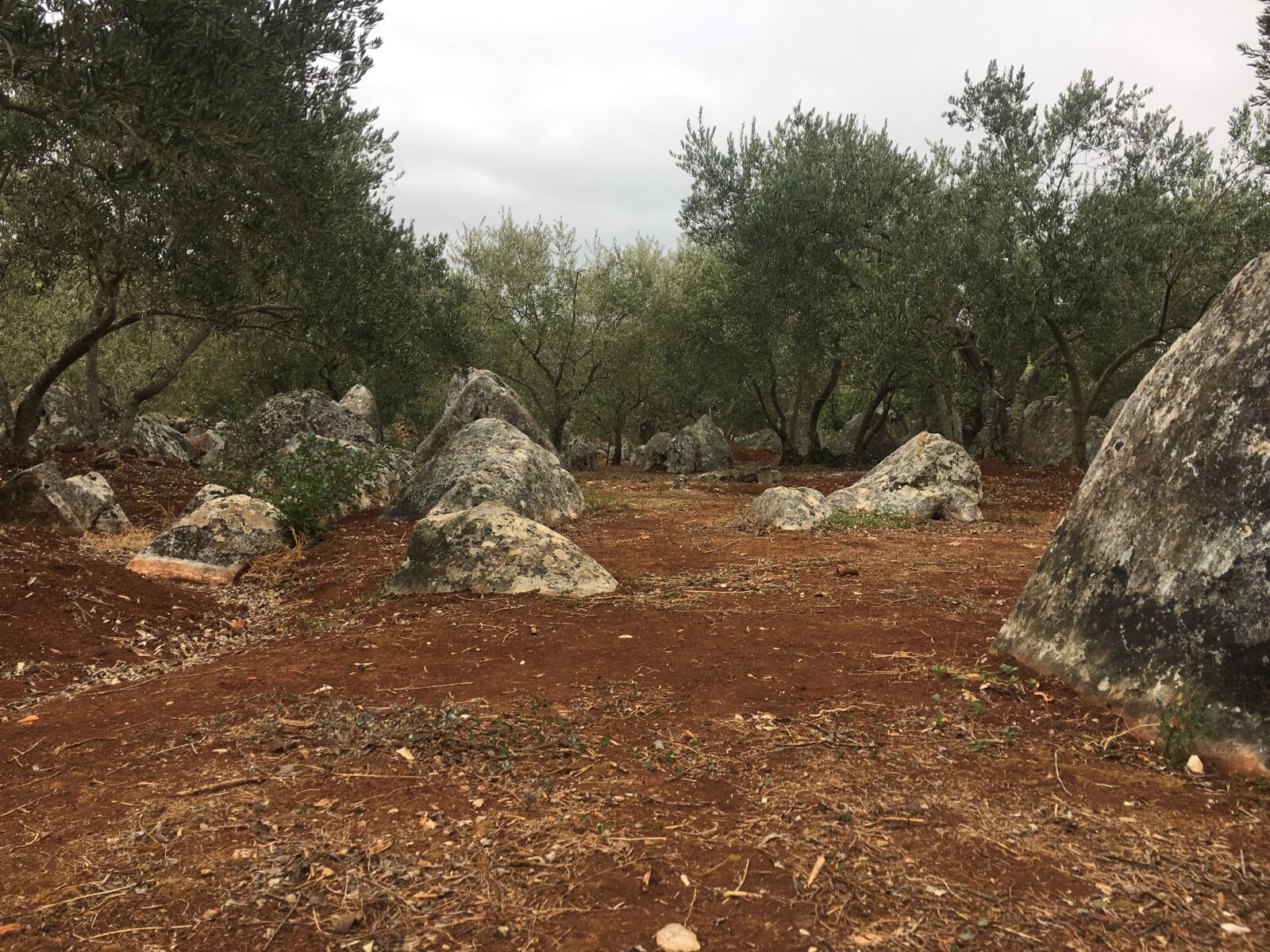 Apple iPhone 6s sample photo. Croatia, vacations, landscape photography