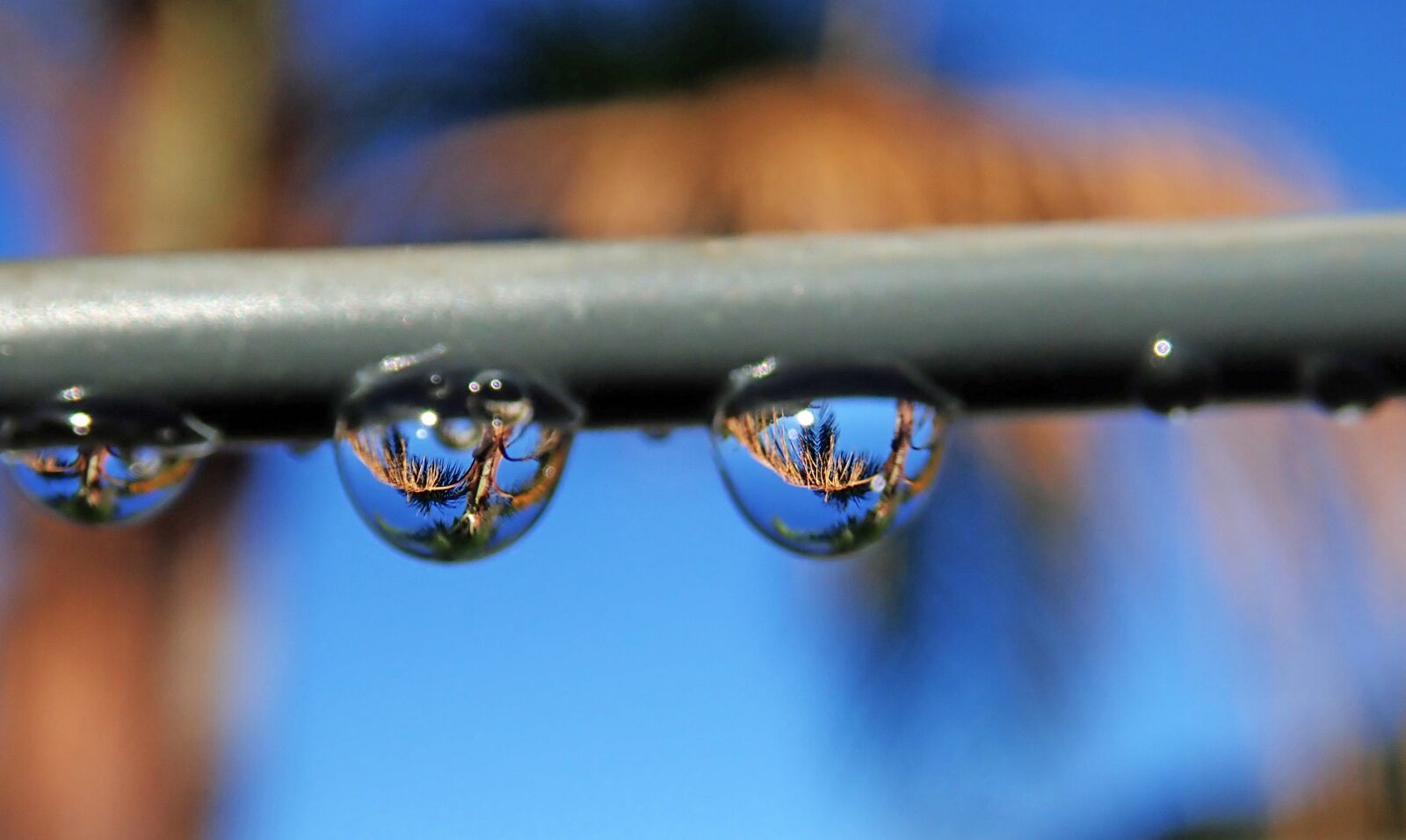 Olympus TG-5 sample photo. Raindrops, water, clothes line photography