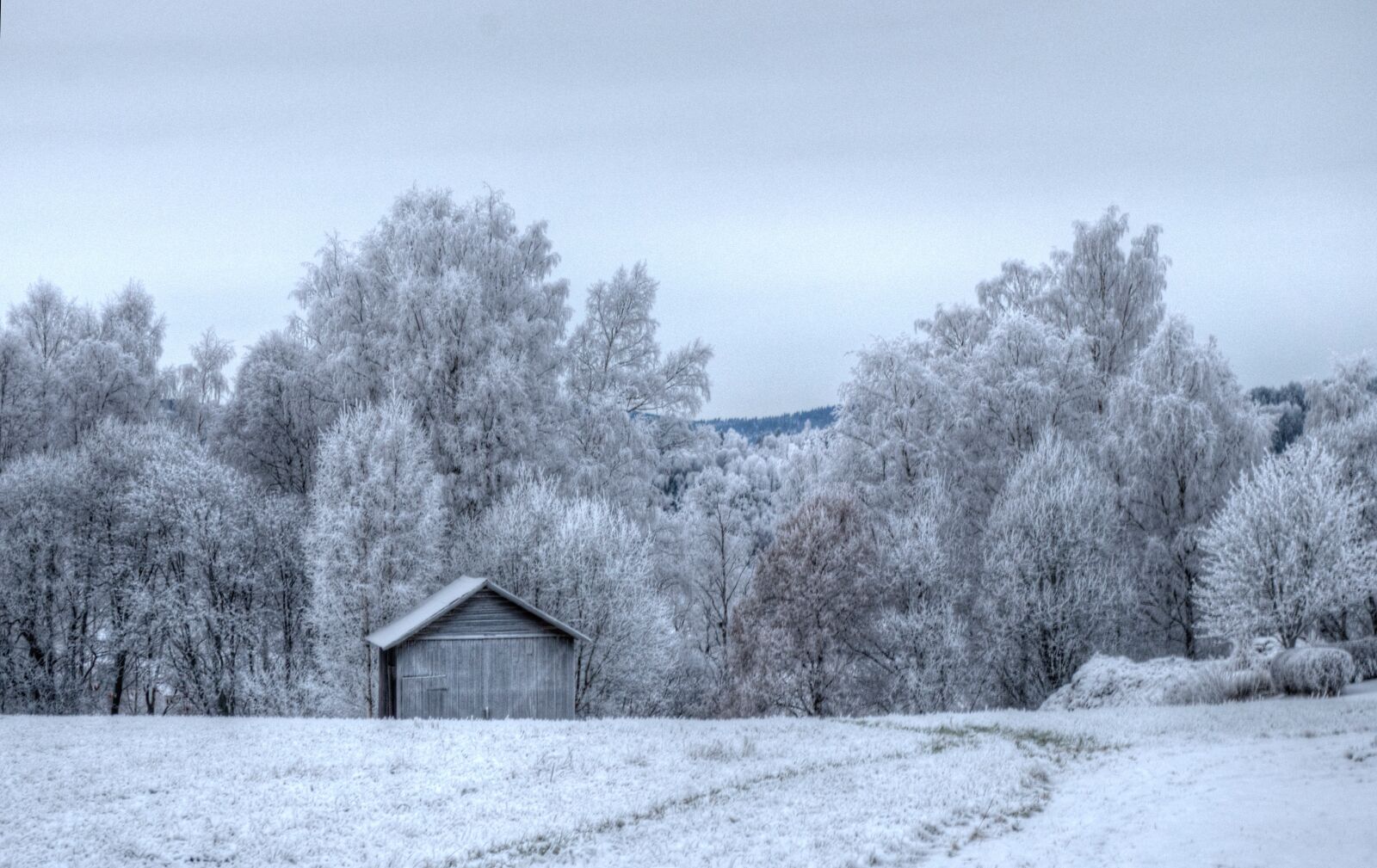Nikon D60 sample photo. Winter, frosted, house photography