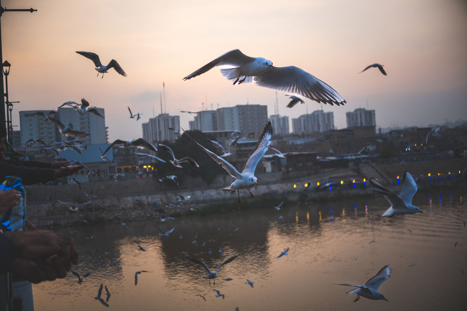 Sony a6400 sample photo