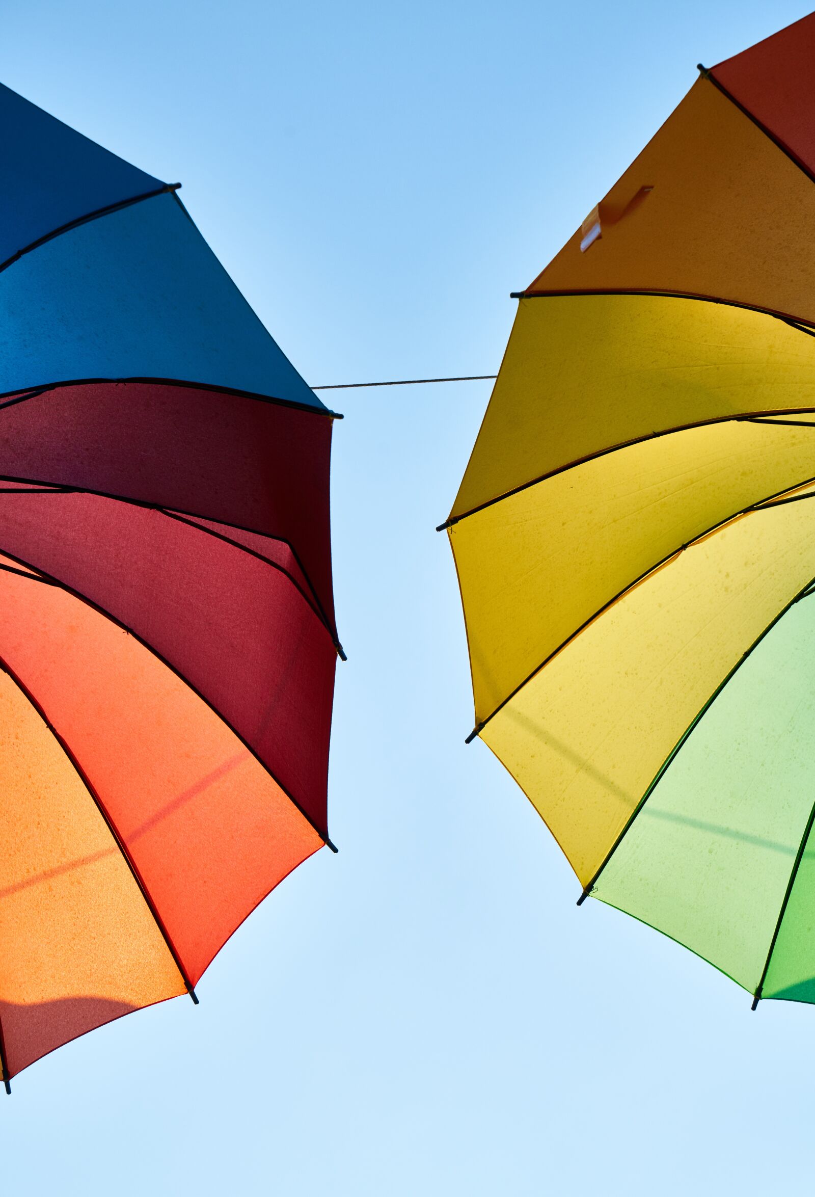 Sony a7R II sample photo. Umbrella, color, beautiful photography