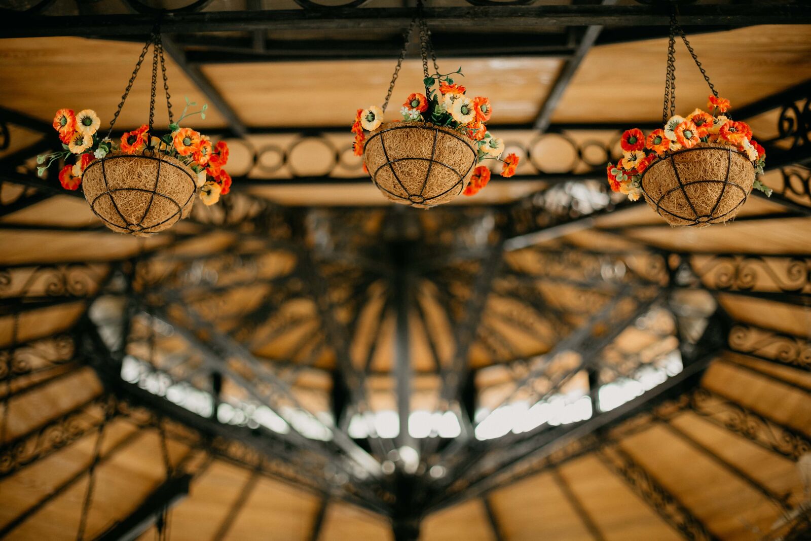 Canon EOS 5D Mark III + Canon EF 50mm F1.4 USM sample photo. Flowerpot, hanging, vintage, ceiling photography