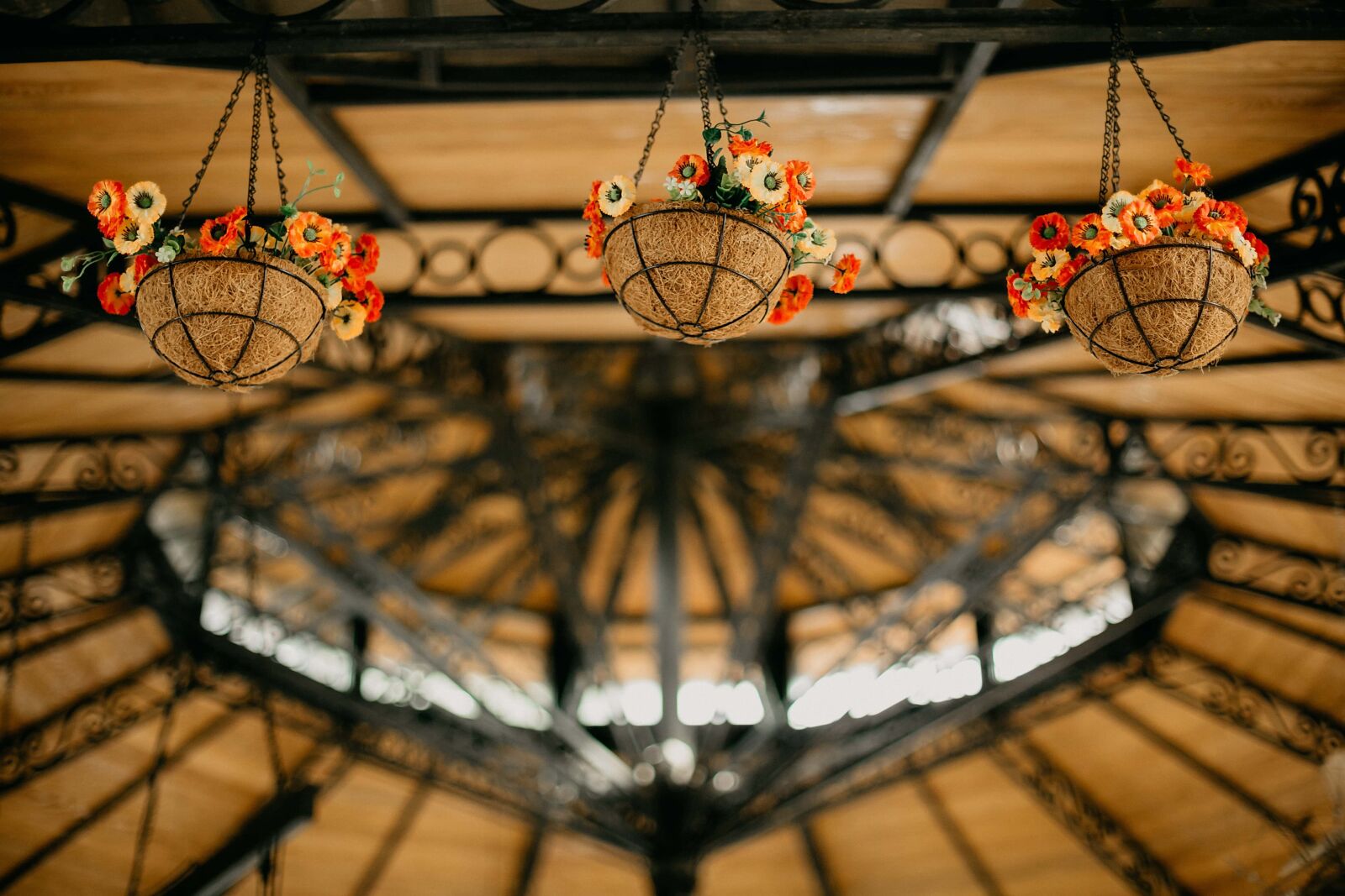 Canon EF 50mm F1.4 USM sample photo. Flowerpot, hanging, vintage, ceiling photography