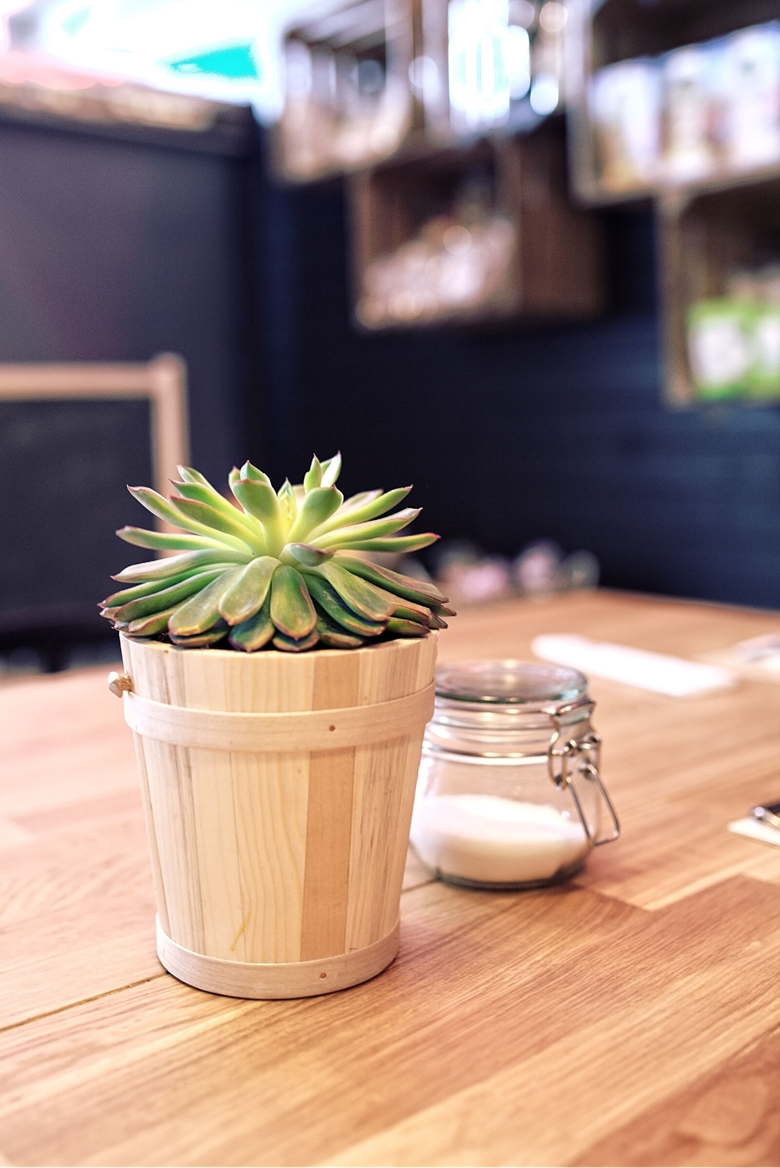 Canon EOS 6D sample photo. Plant, on, the, table photography