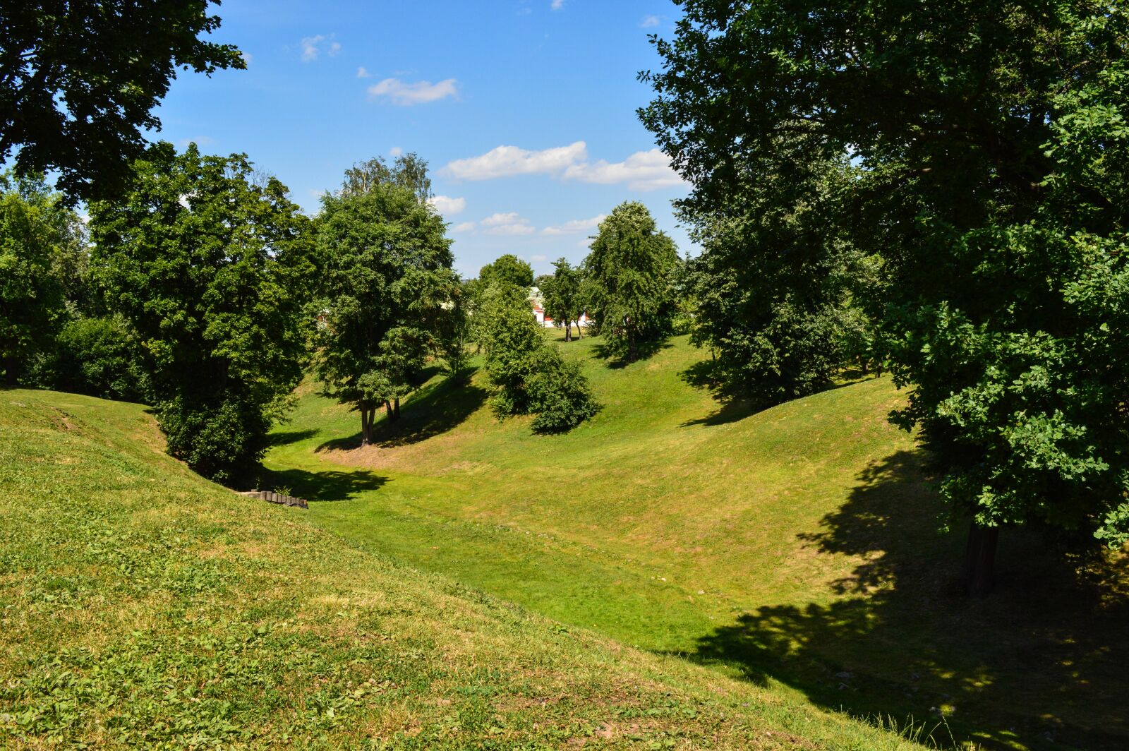 Nikon D3200 sample photo. Nature, ravine, summer photography