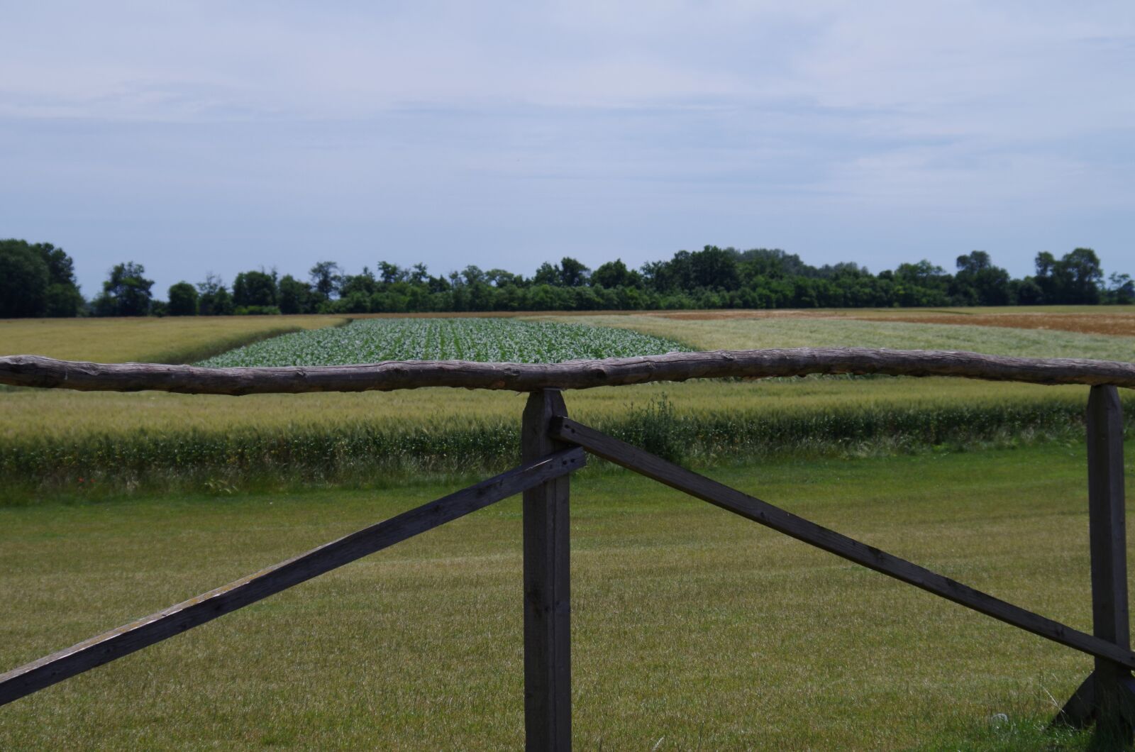 Pentax K-500 sample photo. Field, fence, wooden photography