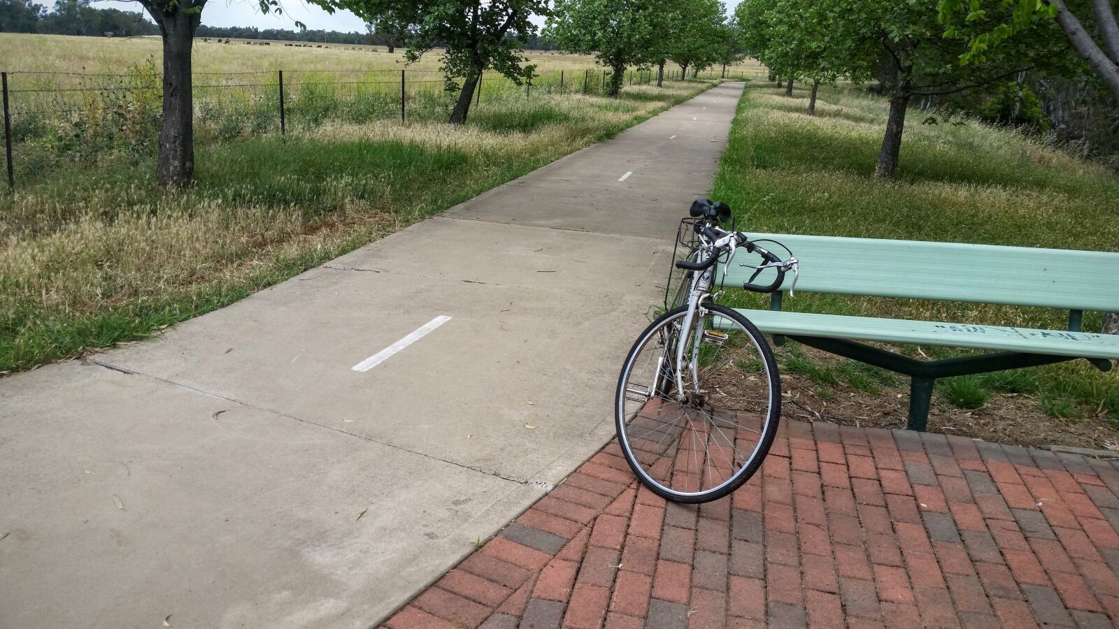 Samsung Galaxy S5 sample photo. Bicycle, path, avenue of photography