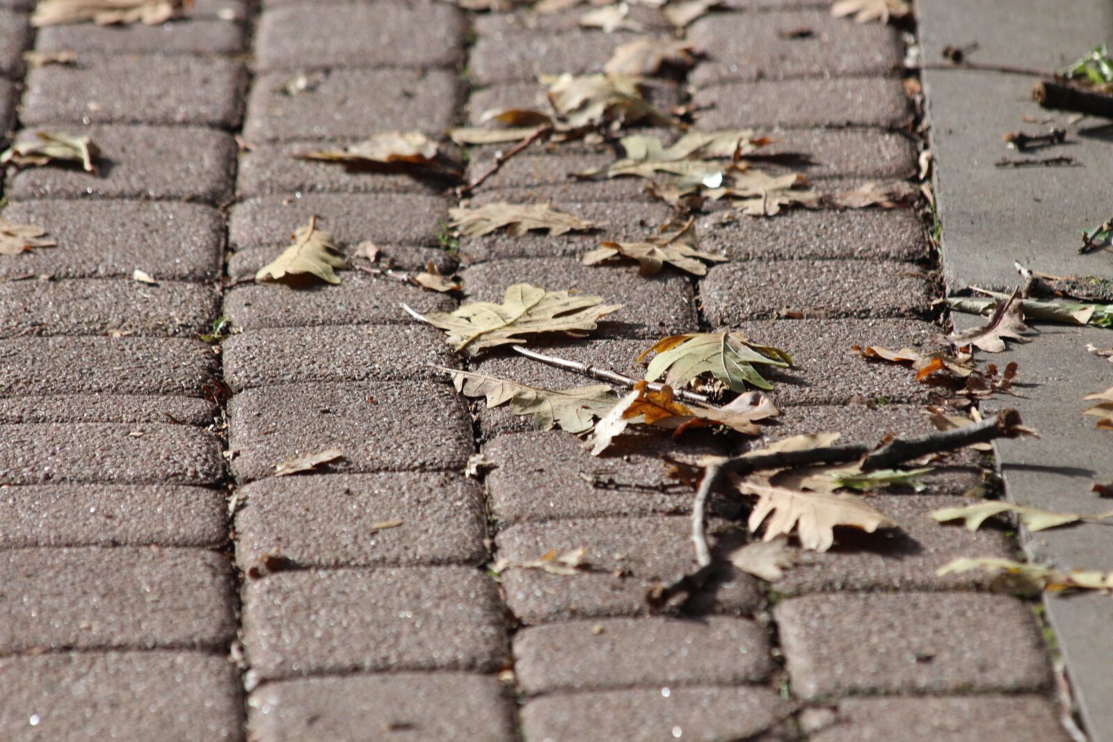 Canon EOS 650D (EOS Rebel T4i / EOS Kiss X6i) sample photo. Bridge, paving stone, pavement photography