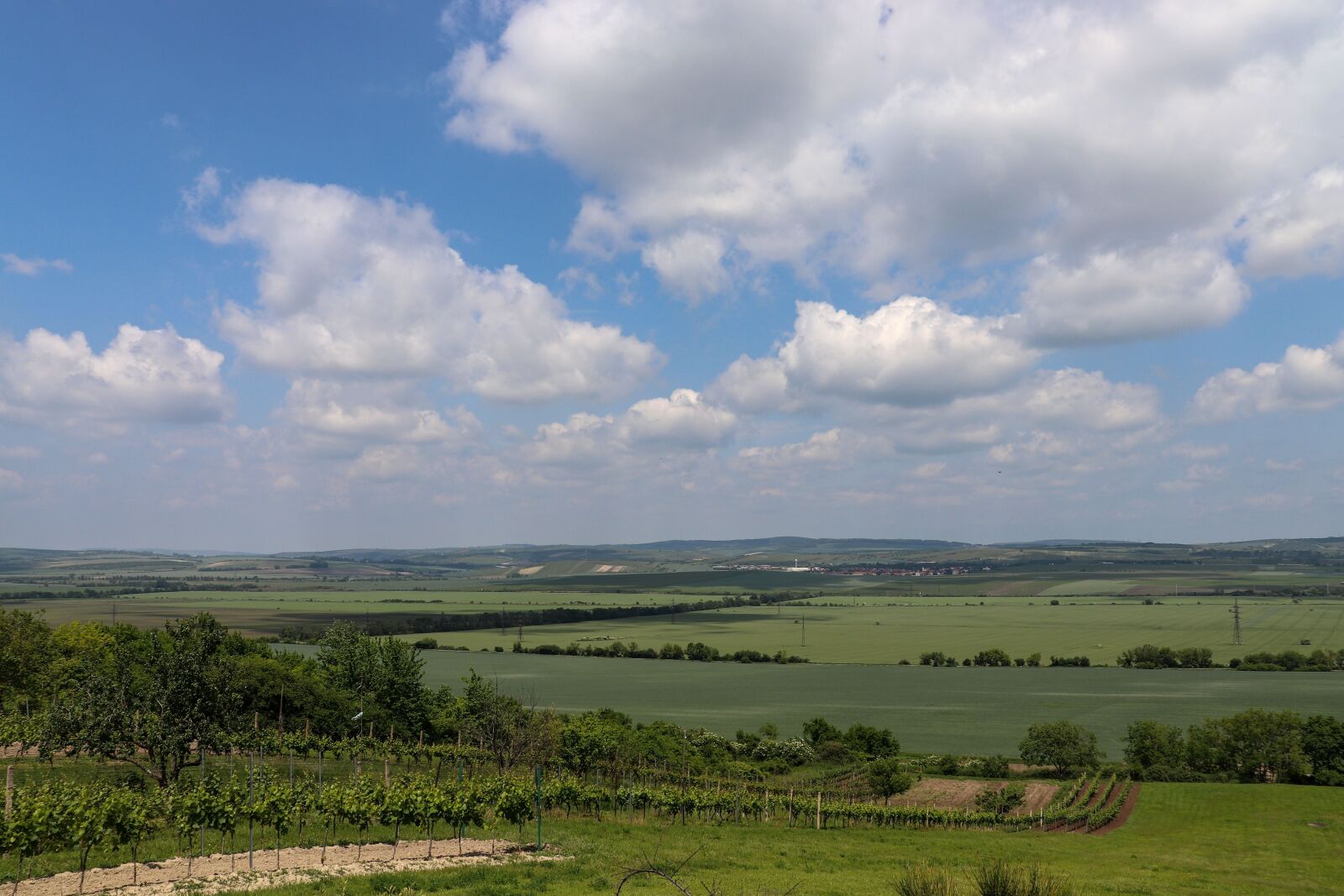 Canon EF-S 18-55mm F4-5.6 IS STM sample photo. Landscape, field, south moravia photography