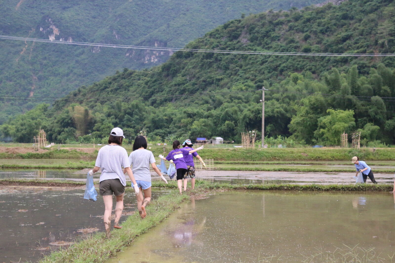Canon EOS 70D sample photo