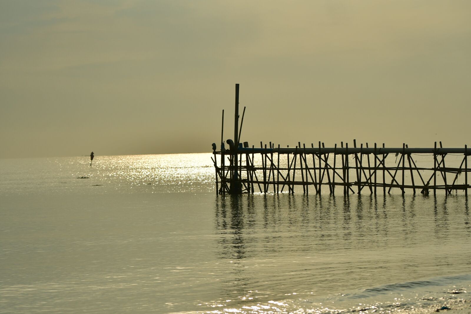 Nikon D500 sample photo. Dawn, morning, jetty photography