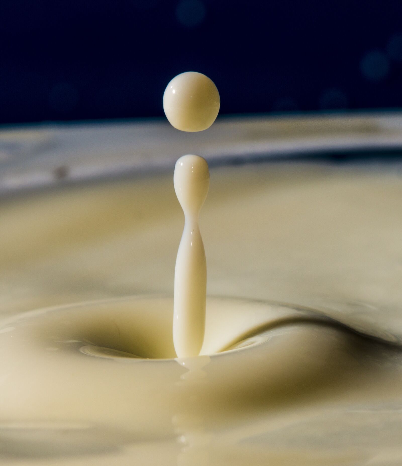 Canon EOS 70D + Canon EF 100mm F2.8 Macro USM sample photo. Drop, milk, splash photography