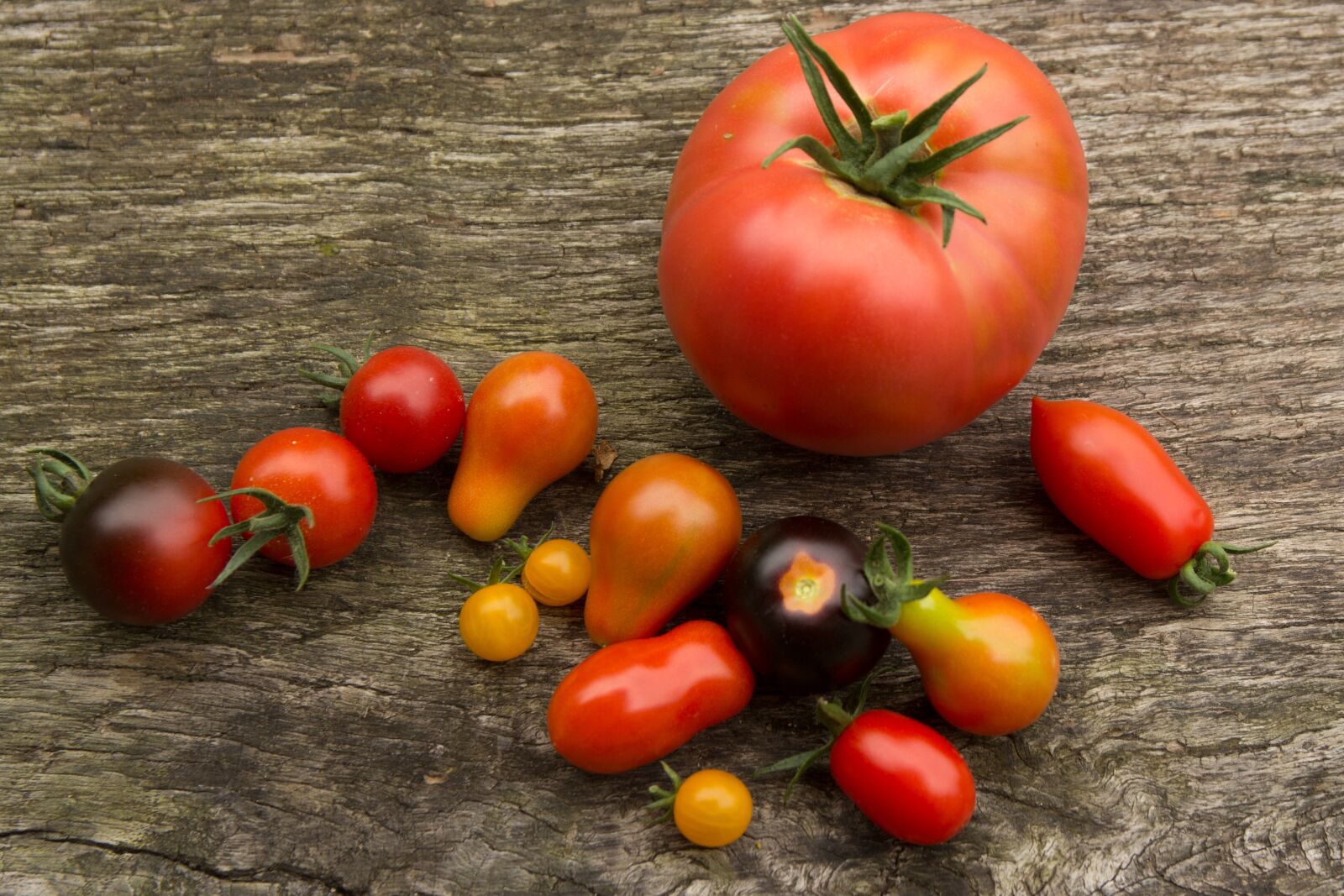 Canon EOS 60D sample photo. Tomatoes, tomato, vegetables photography