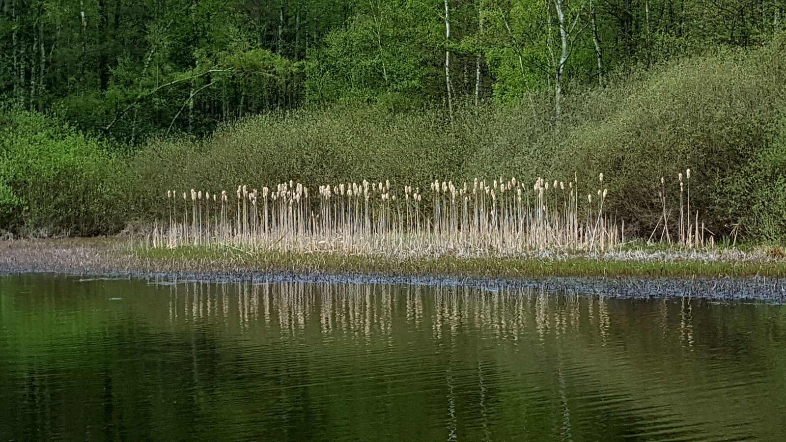 Samsung Galaxy S6 sample photo. Waters, reflection, nature photography