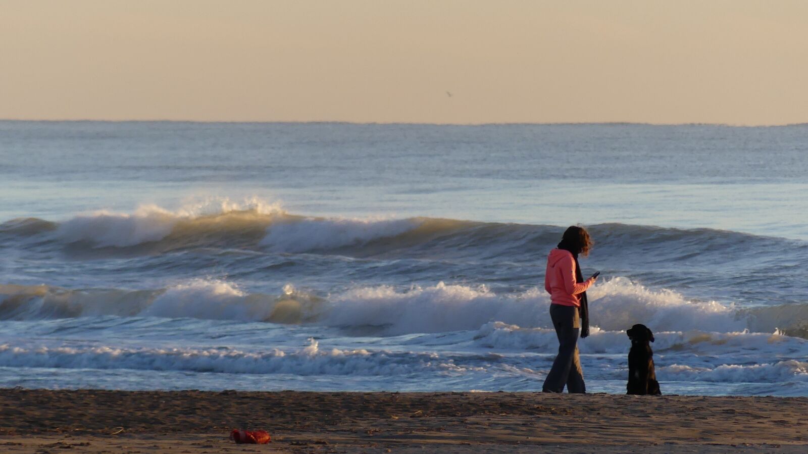 Panasonic Lumix DMC-FZ300 sample photo. Sea, man, dog photography