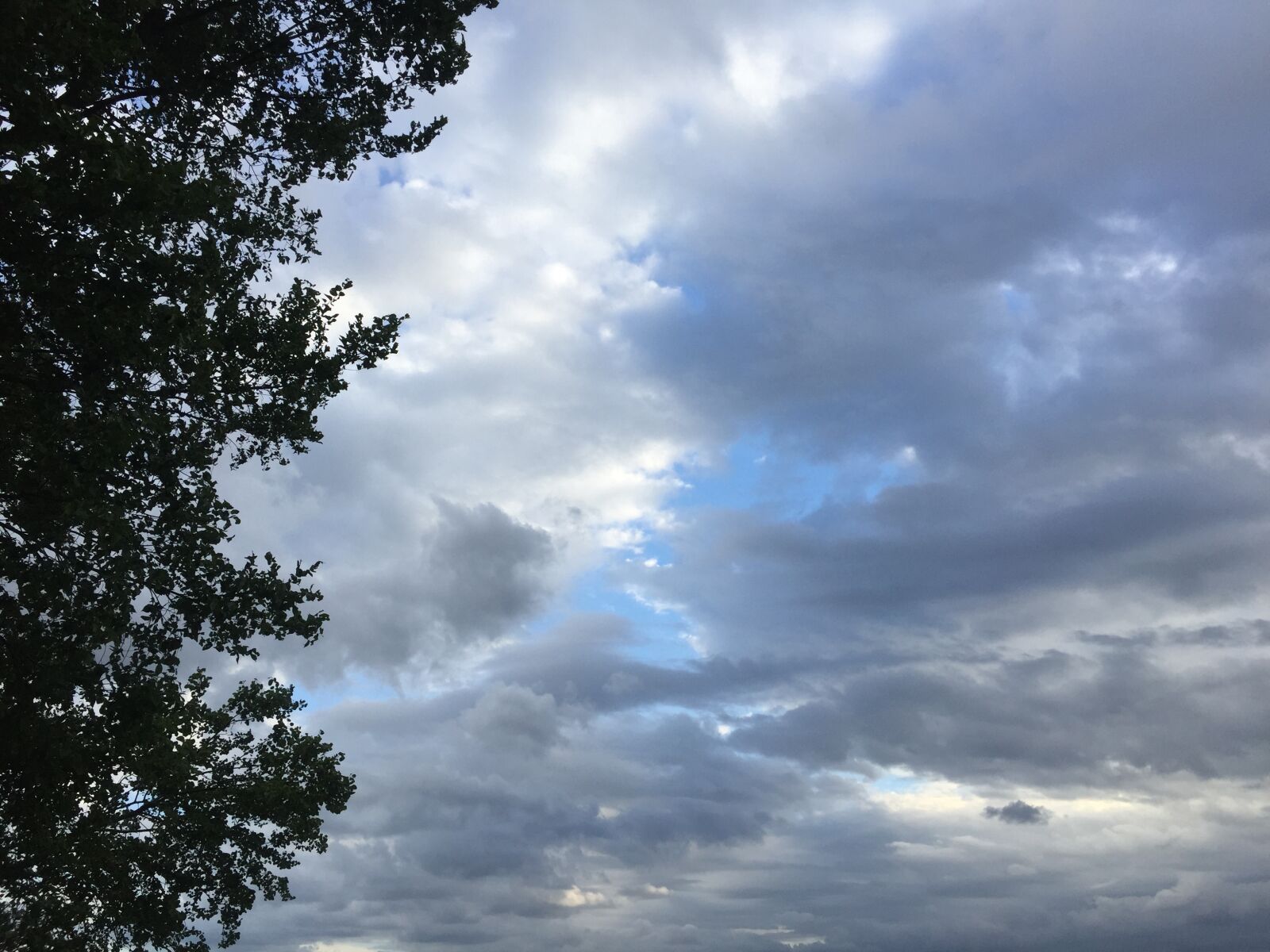 iPhone 6 back camera 4.15mm f/2.2 sample photo. Blue, sky photography