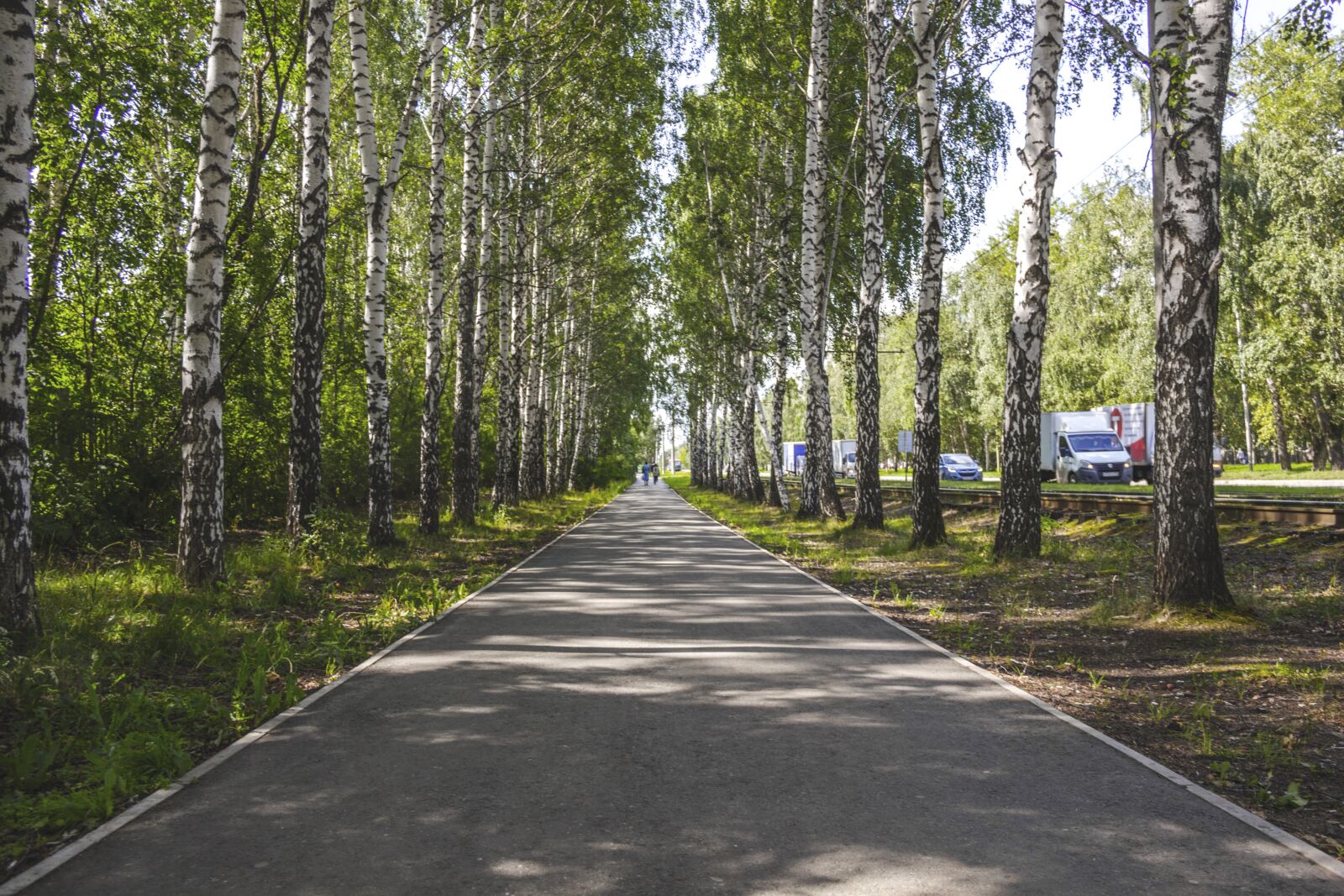 Canon EOS 550D (EOS Rebel T2i / EOS Kiss X4) sample photo. Summer, trees, nature photography