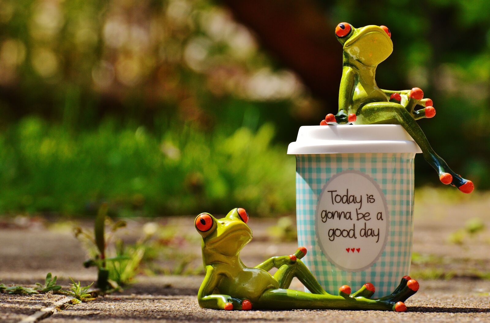 Nikon D3200 sample photo. Beautiful day, joy, frog photography