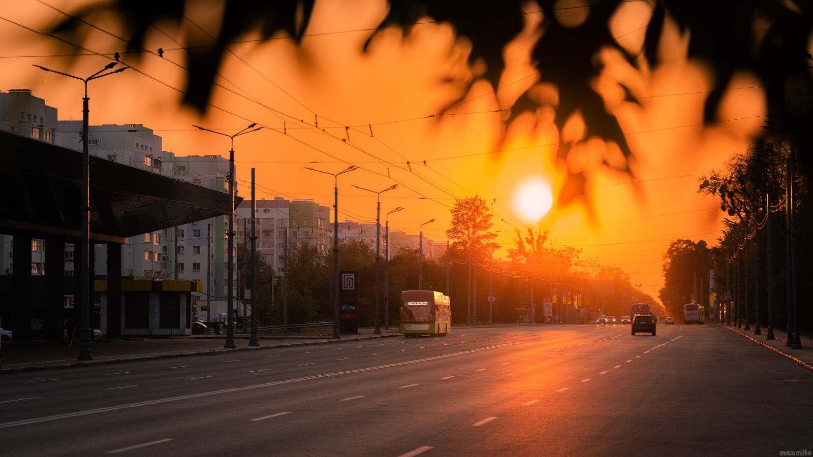 Sony a7 III + Sony FE 24-105mm F4 G OSS sample photo