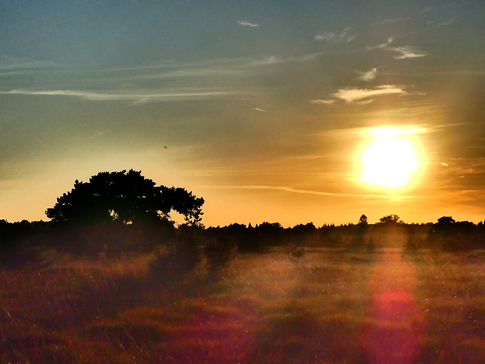 Panasonic DC-TZ91 sample photo. Hohes venn, belgien, sonnenuntergang photography