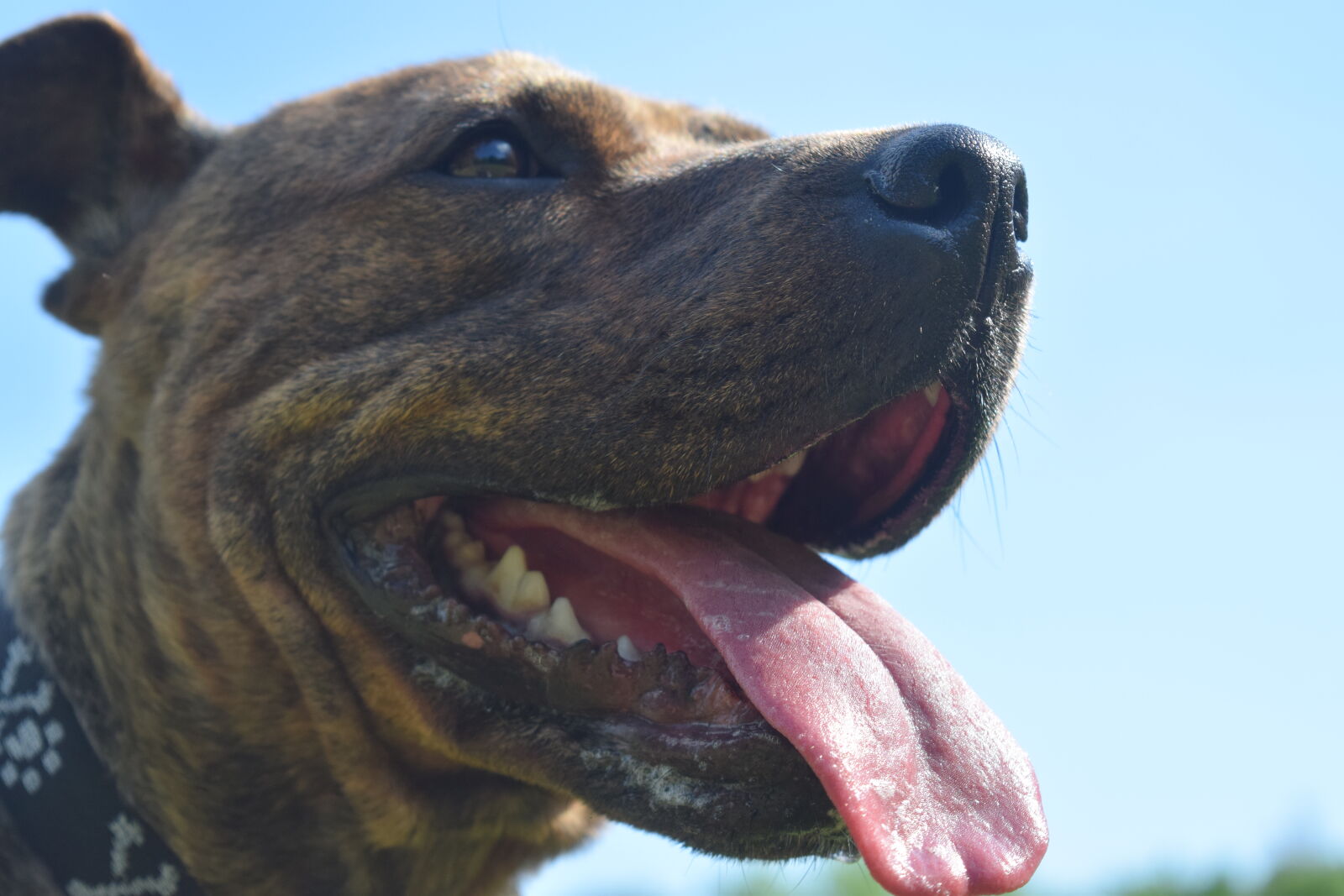 Nikon D3300 sample photo