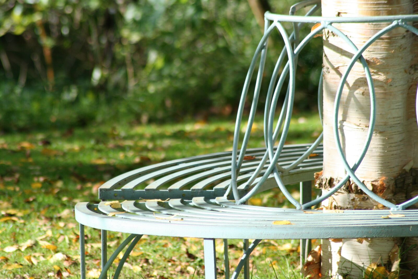 Canon EOS 350D (EOS Digital Rebel XT / EOS Kiss Digital N) sample photo. Seat, garden, tree seat photography