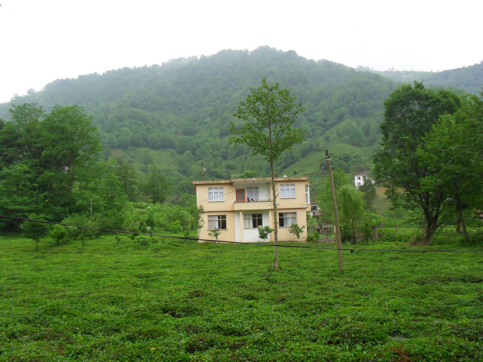 Samsung ES60 / VLUU ES60 /  SL105 /  ES63 sample photo. Nature, mountain, forest photography